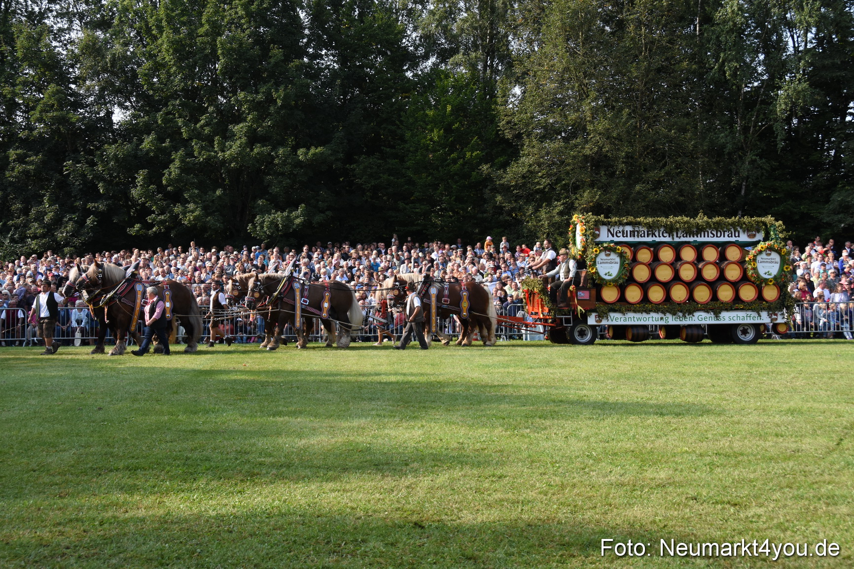 Pferde und Fohlenschau 2017 0052