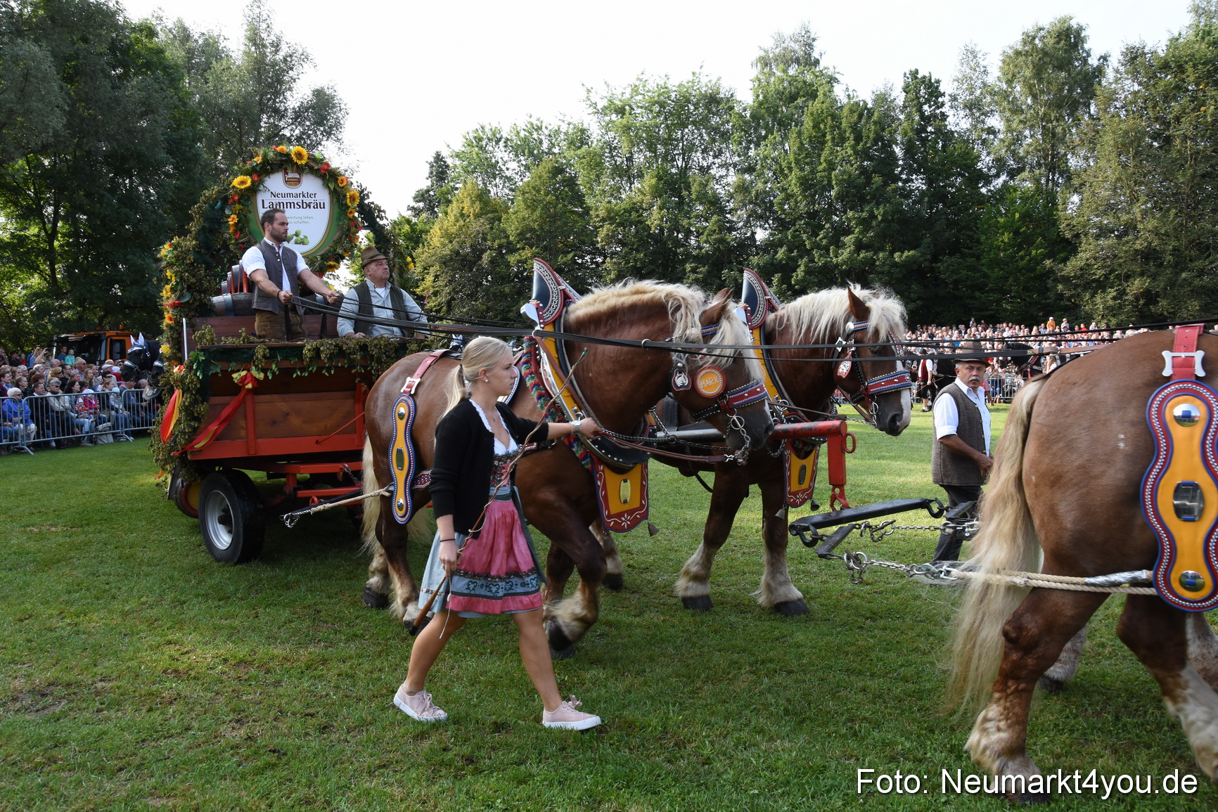 Pferde und Fohlenschau 2017 0053
