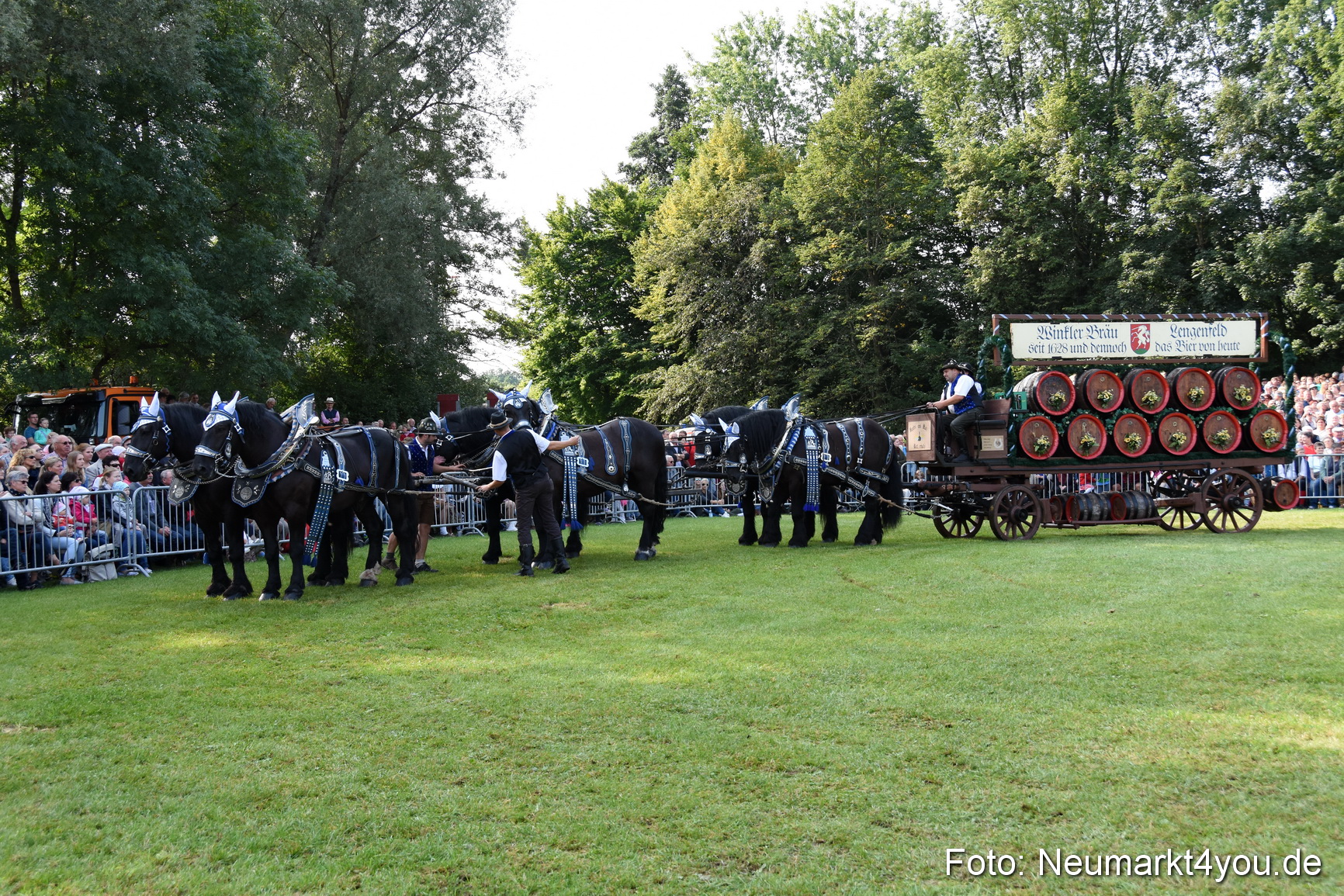 Pferde und Fohlenschau 2017 0054