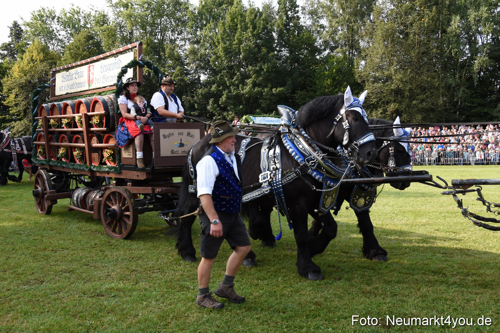 Pferde und Fohlenschau 2017 0055
