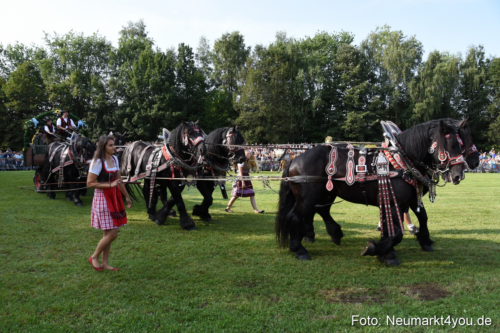 Pferde und Fohlenschau 2017 0056