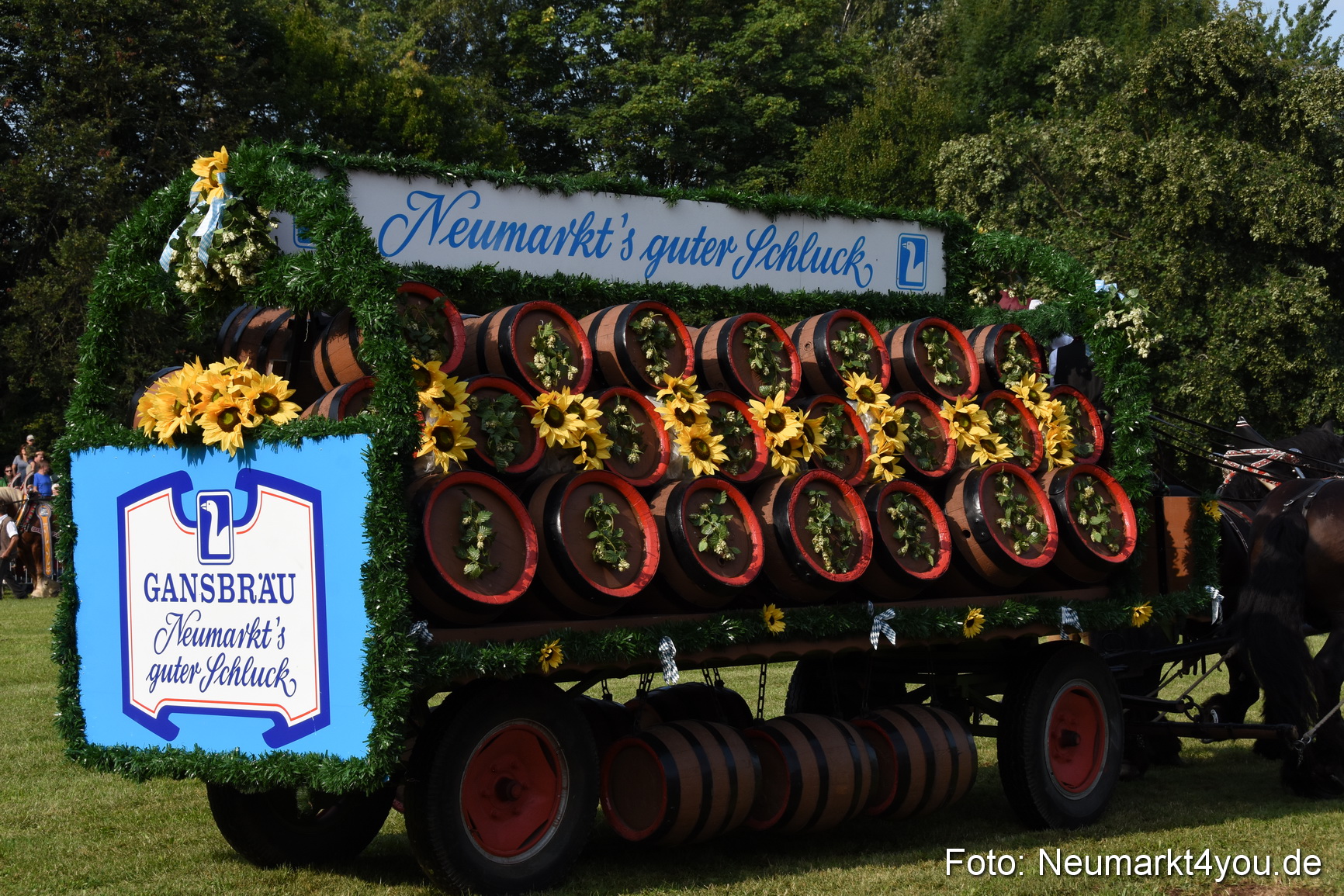 Pferde und Fohlenschau 2017 0057