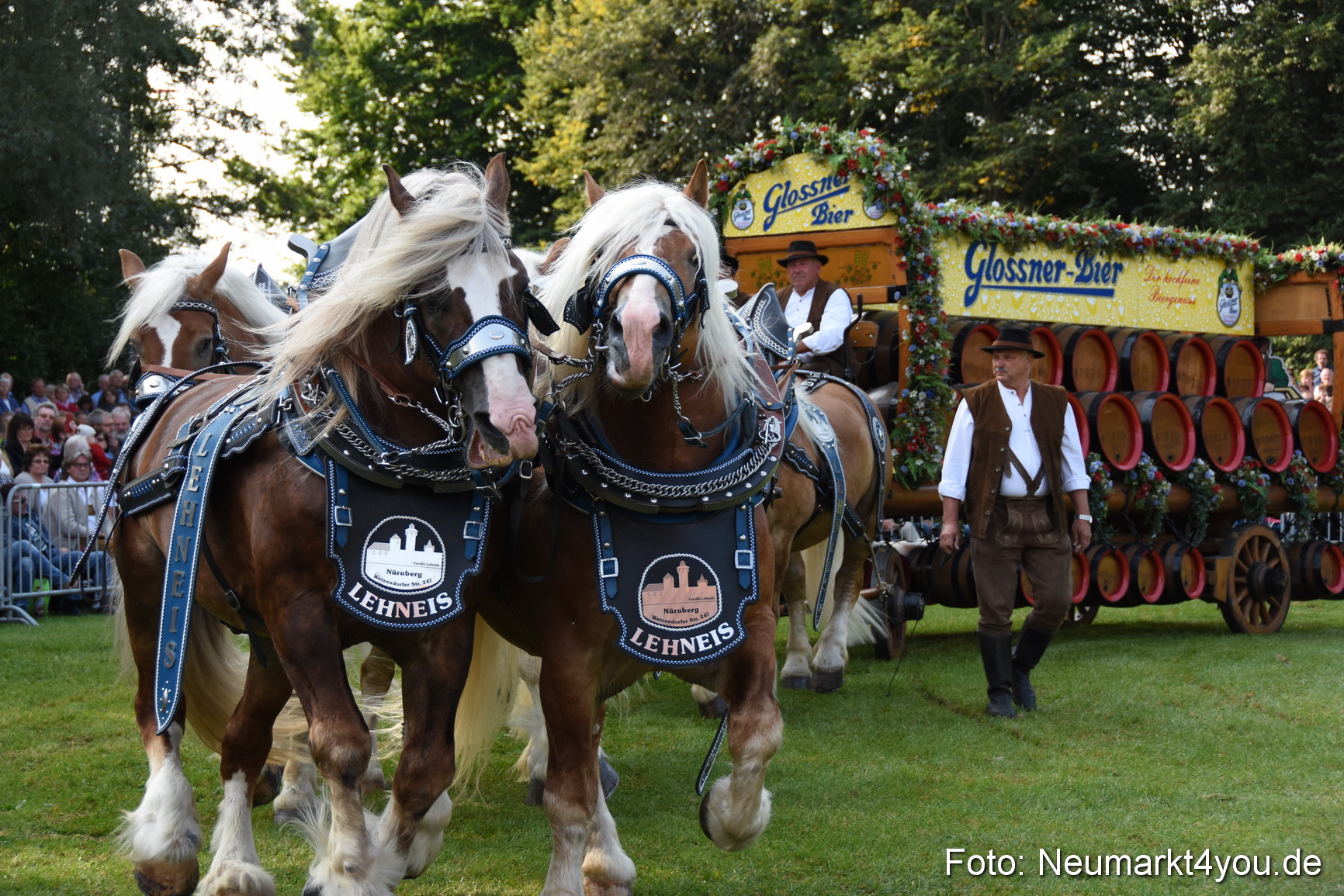 Pferde und Fohlenschau 2017 0059
