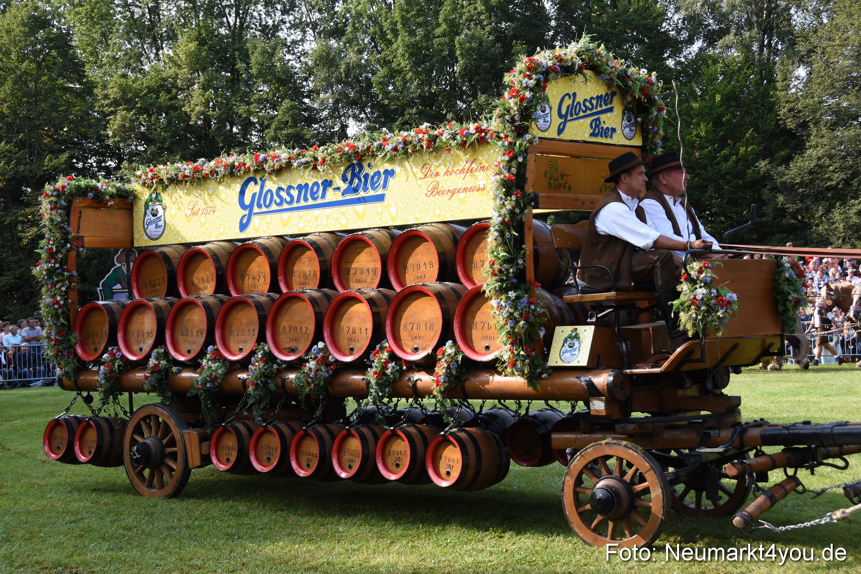 Pferde und Fohlenschau 2017 0060