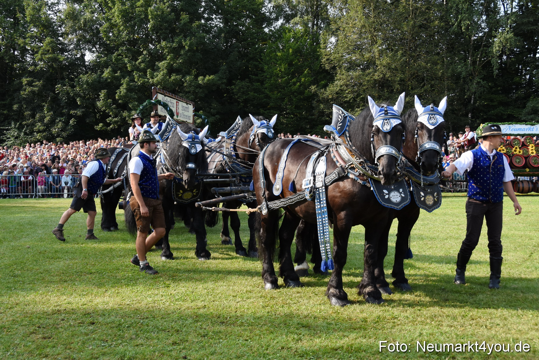 Pferde und Fohlenschau 2017 0062