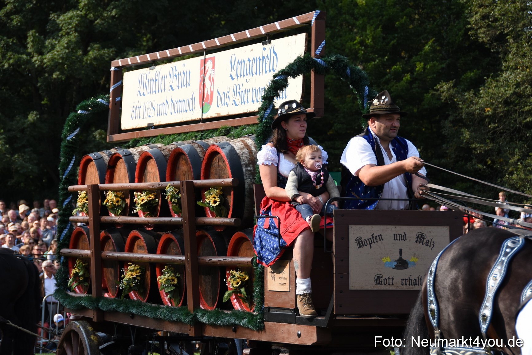 Pferde und Fohlenschau 2017 0063