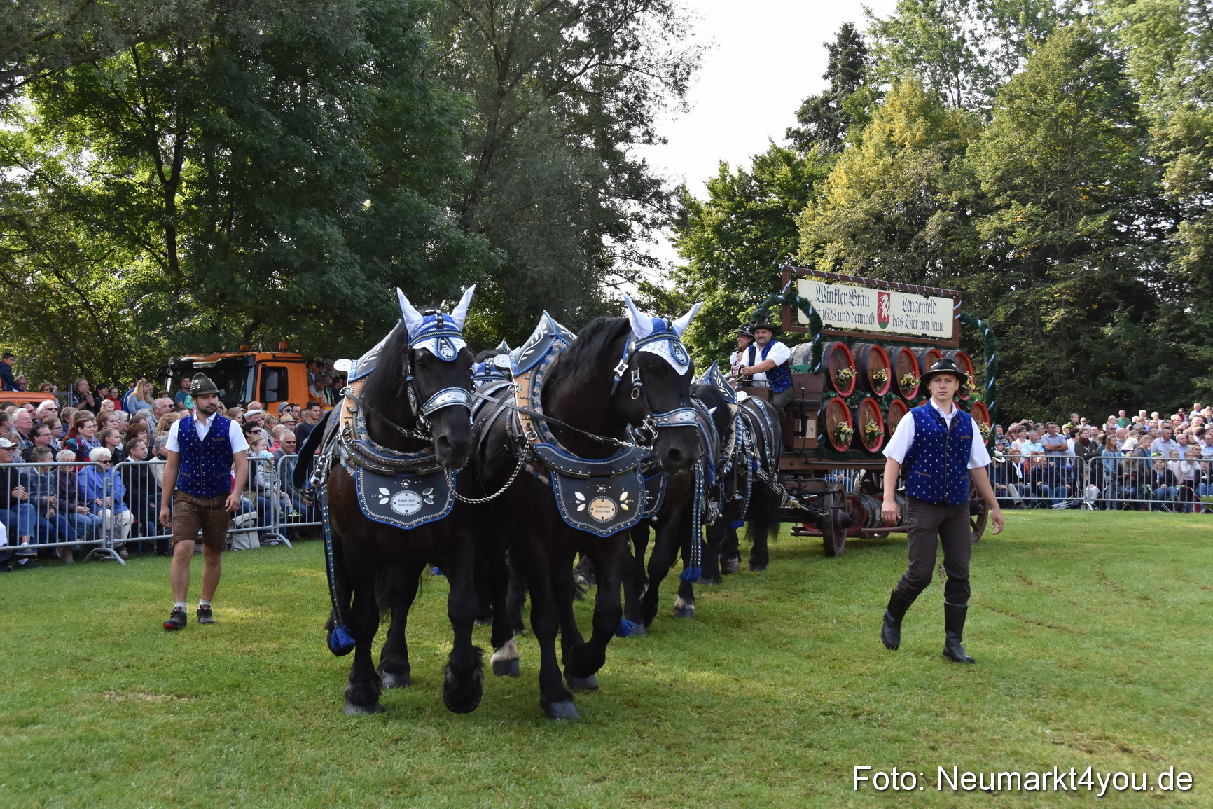 Pferde und Fohlenschau 2017 0064