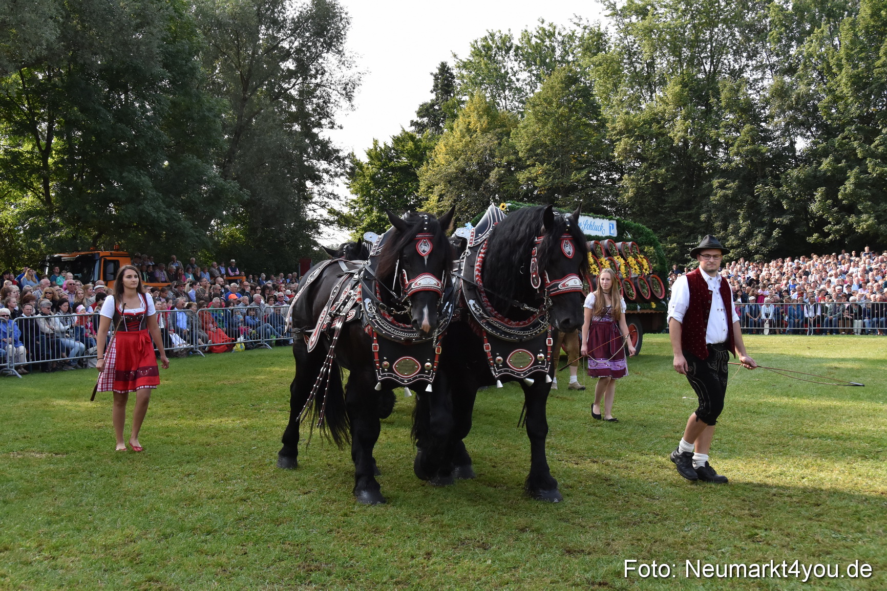 Pferde und Fohlenschau 2017 0065