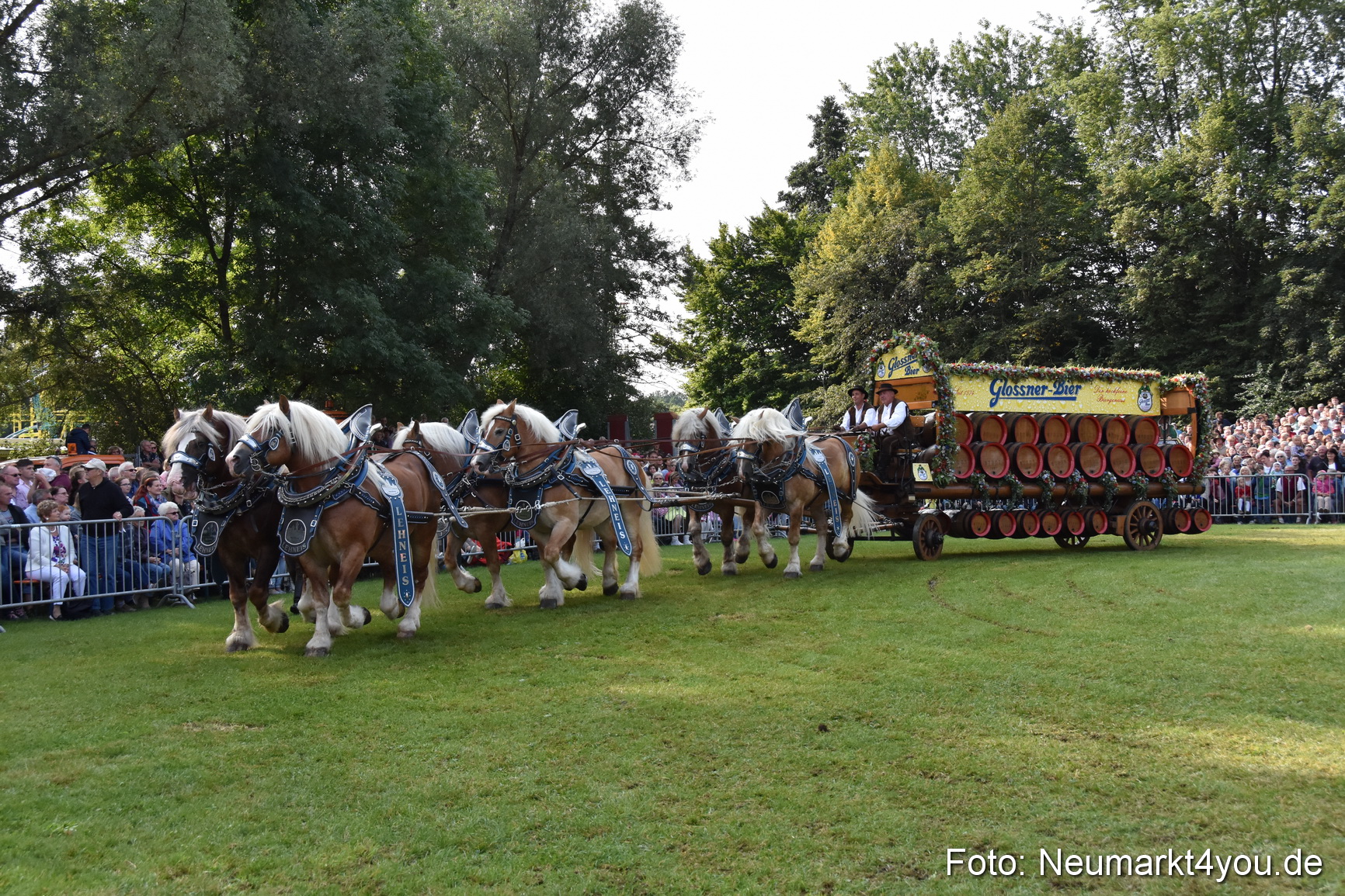 Pferde und Fohlenschau 2017 0066