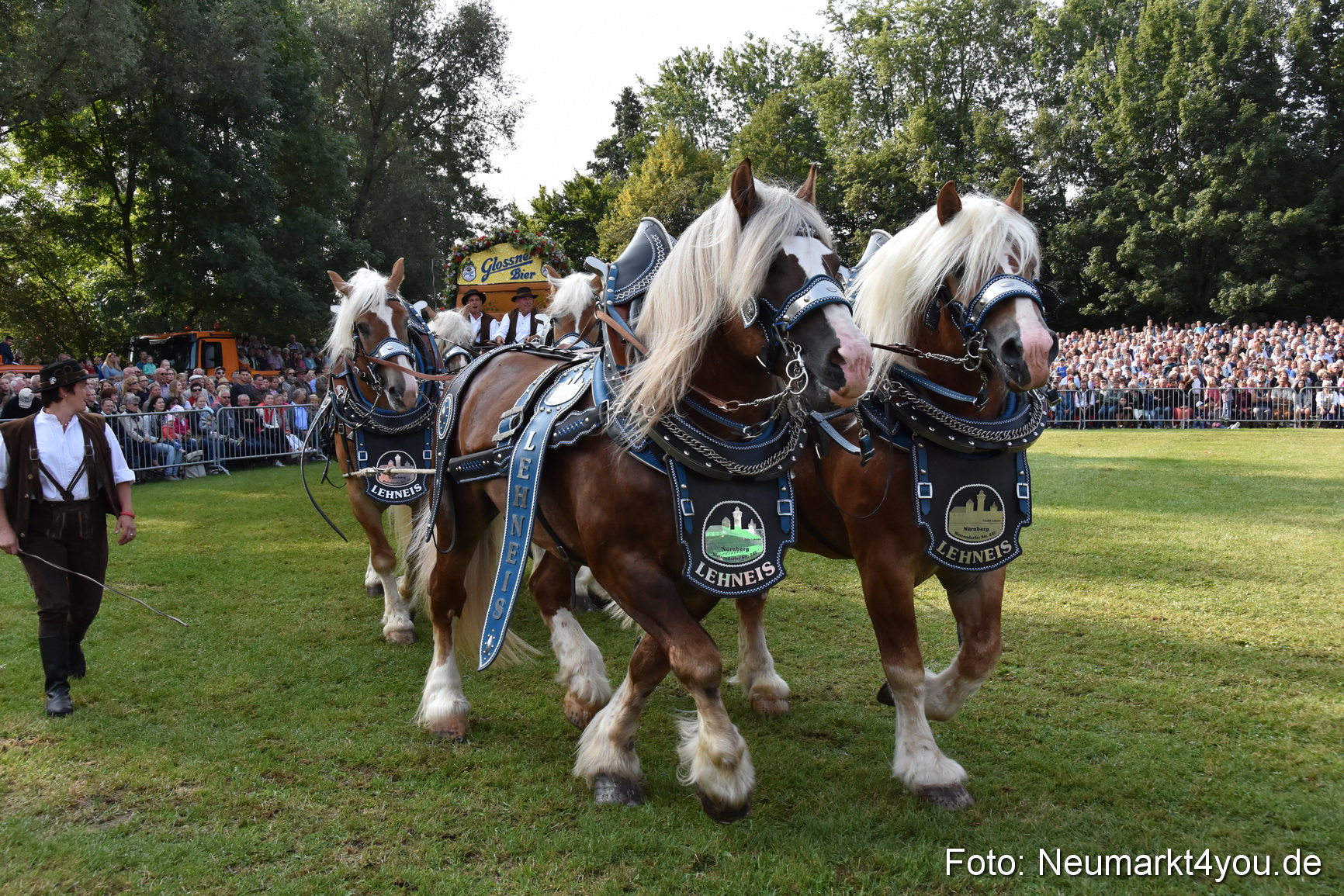 Pferde und Fohlenschau 2017 0067