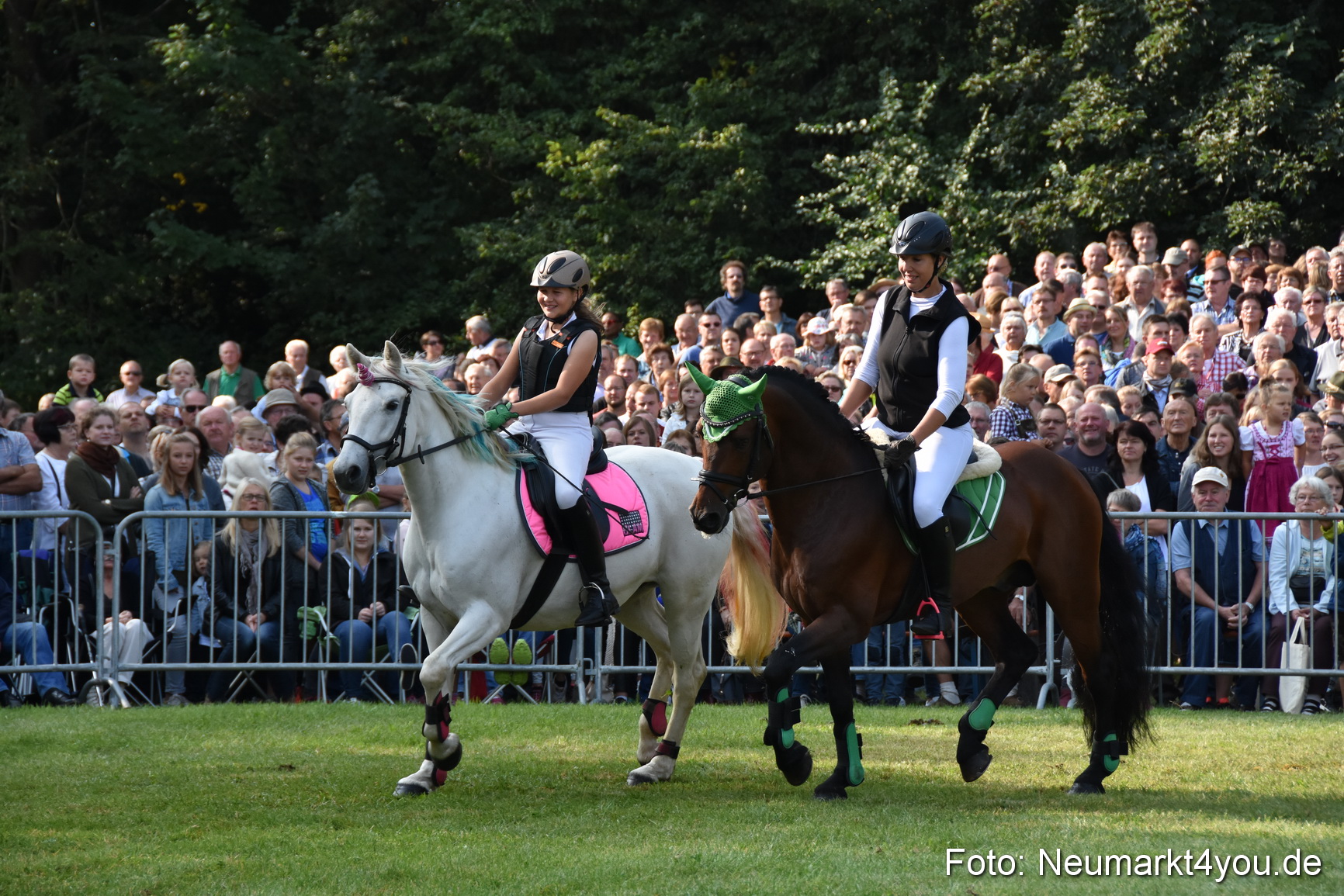 Pferde und Fohlenschau 2017 0068