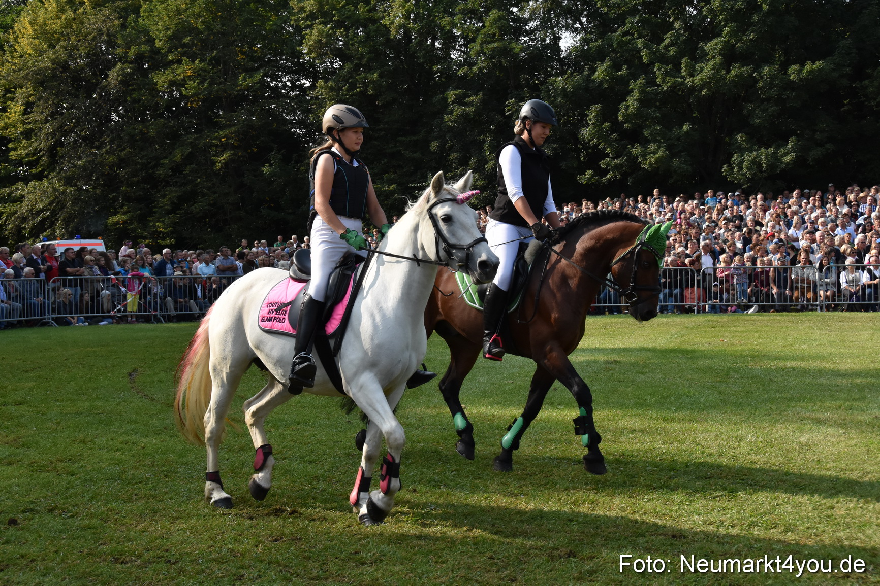 Pferde und Fohlenschau 2017 0069