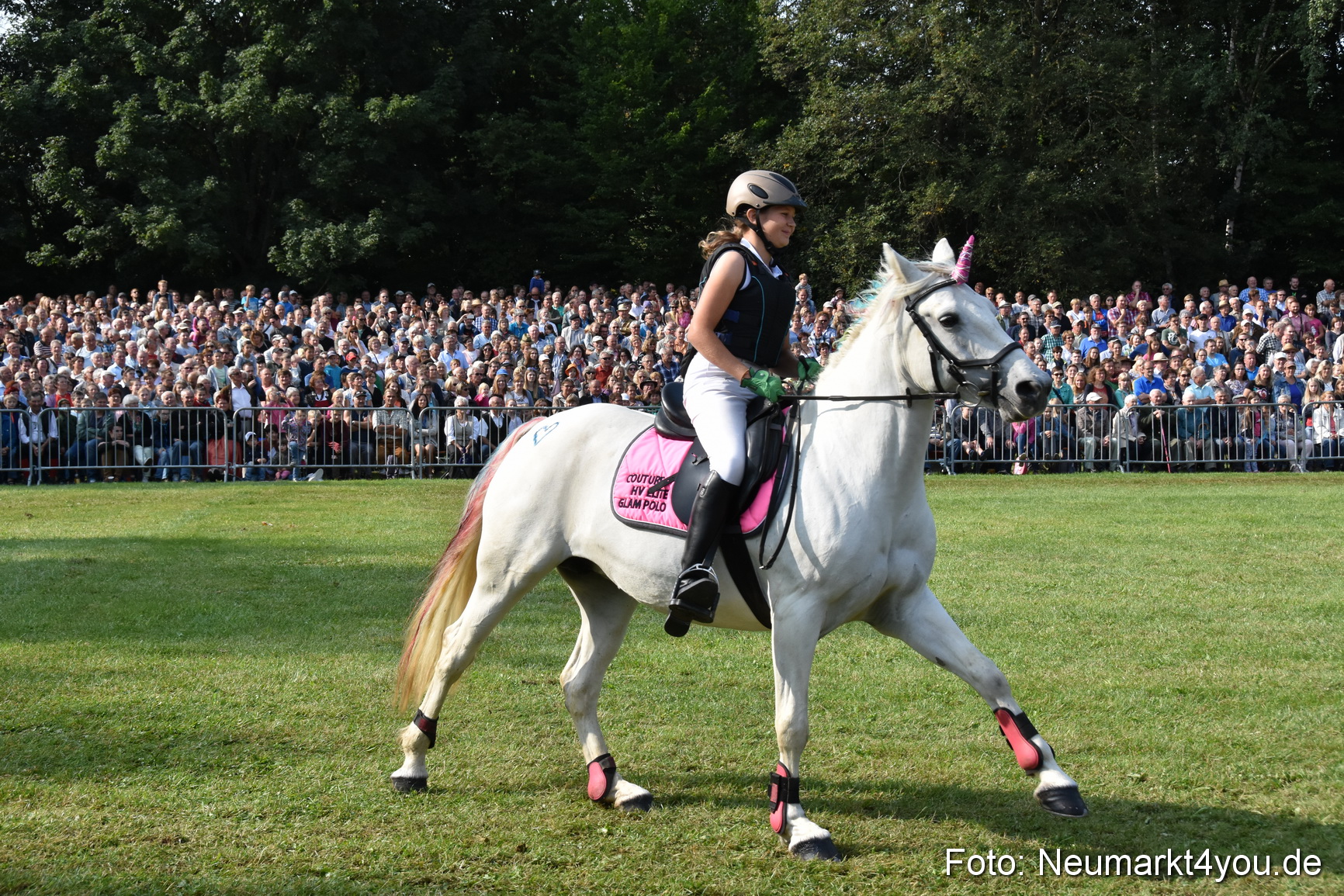 Pferde und Fohlenschau 2017 0070