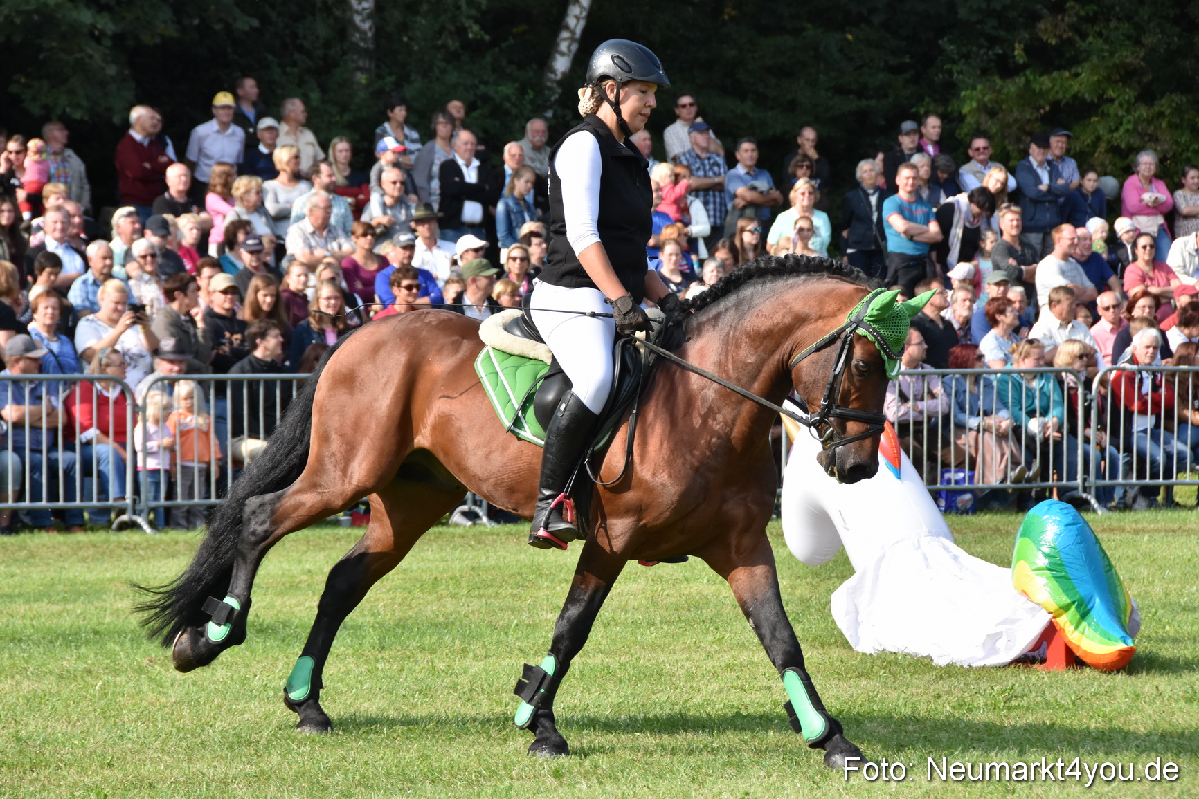 Pferde und Fohlenschau 2017 0071