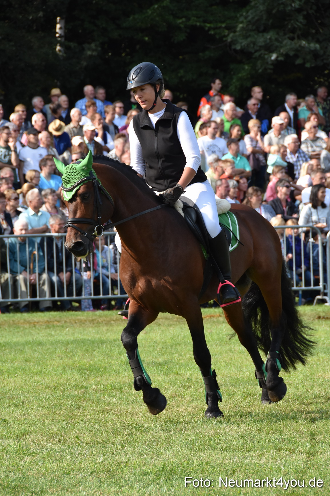 Pferde und Fohlenschau 2017 0072