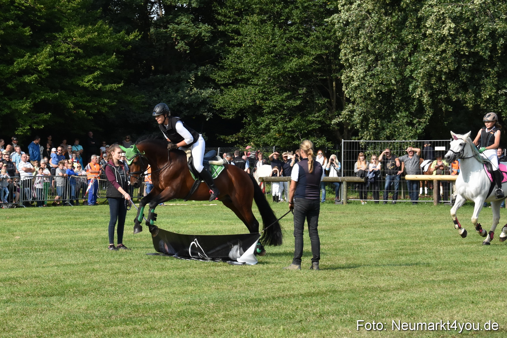 Pferde und Fohlenschau 2017 0073