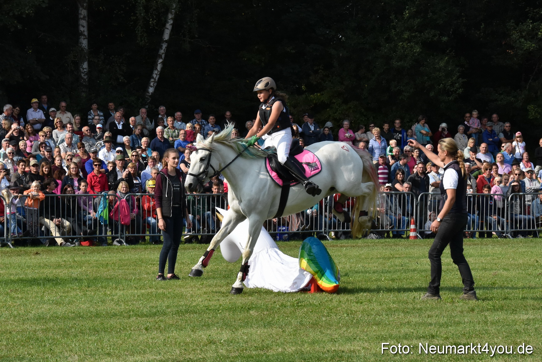 Pferde und Fohlenschau 2017 0074