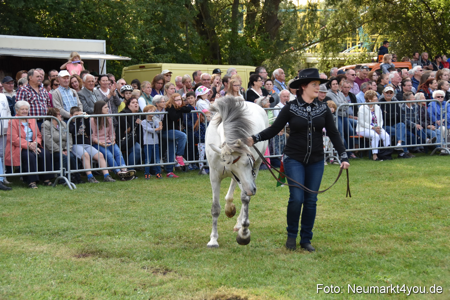 Pferde und Fohlenschau 2017 0075