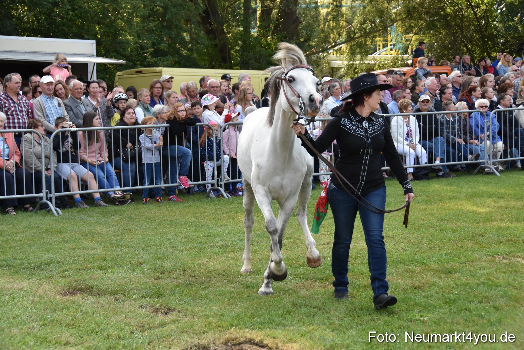 Pferde und Fohlenschau 2017 0076