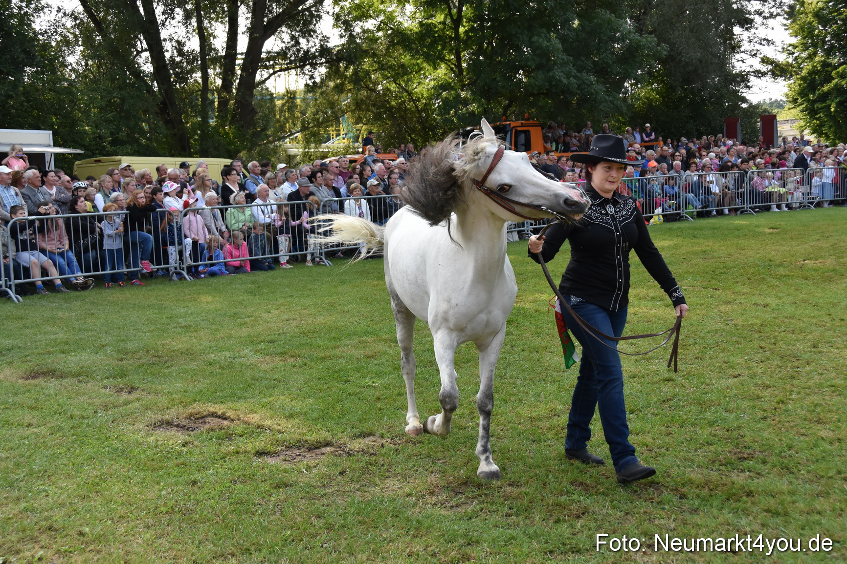 Pferde und Fohlenschau 2017 0077