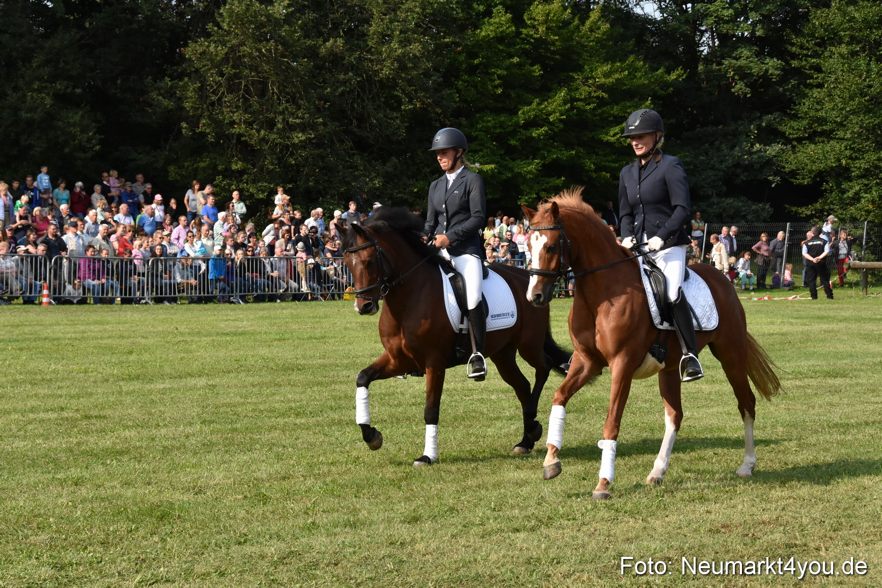 Pferde und Fohlenschau 2017 0078