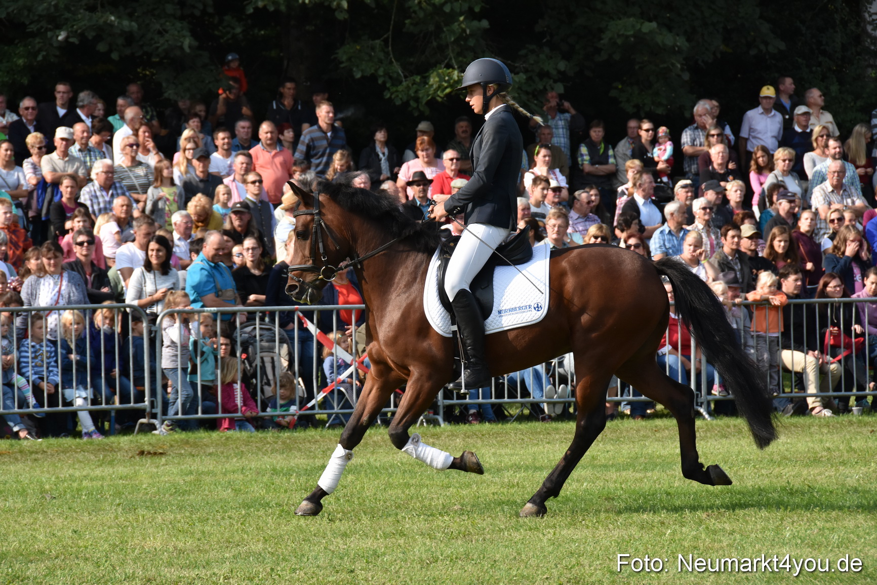 Pferde und Fohlenschau 2017 0079
