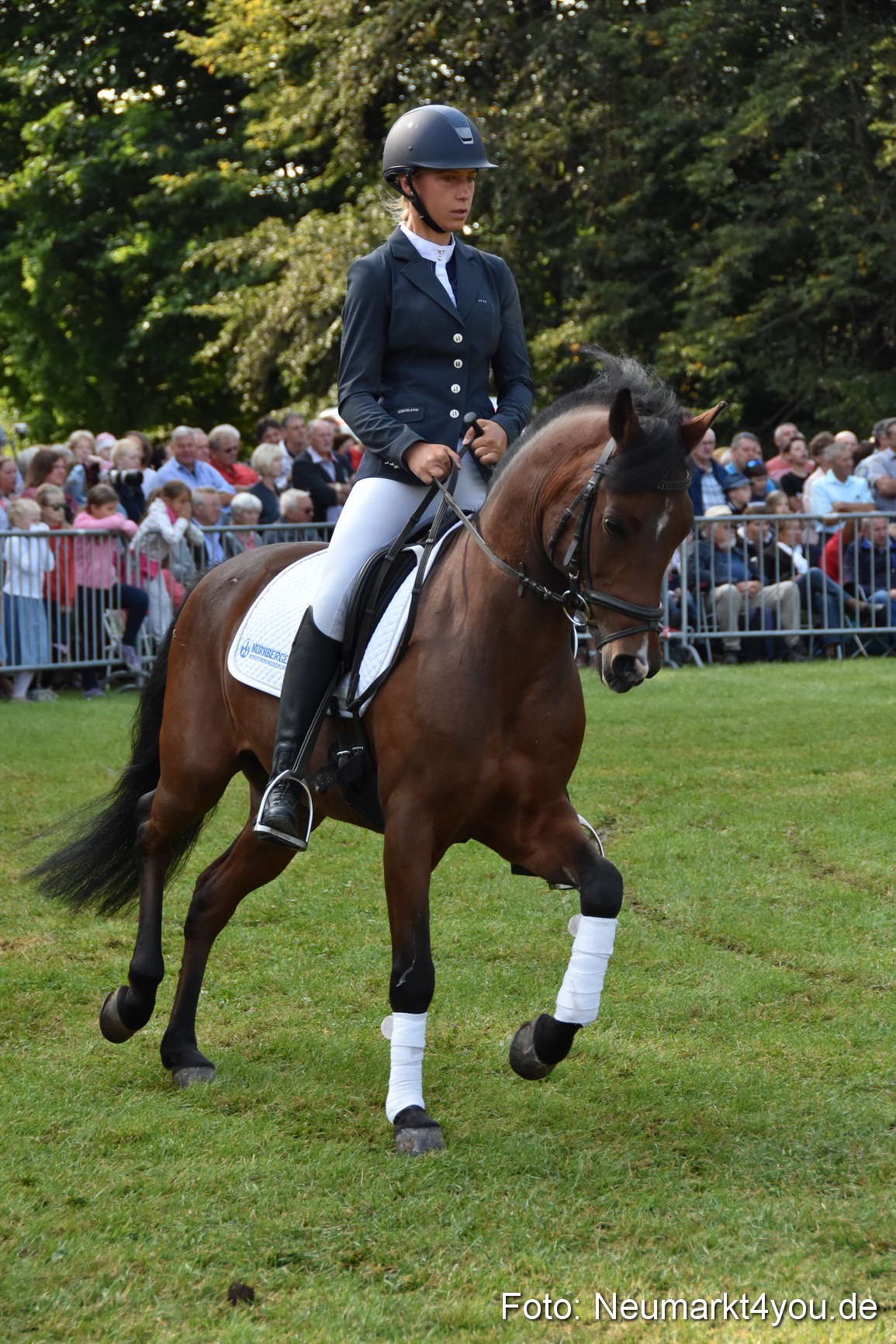 Pferde und Fohlenschau 2017 0080