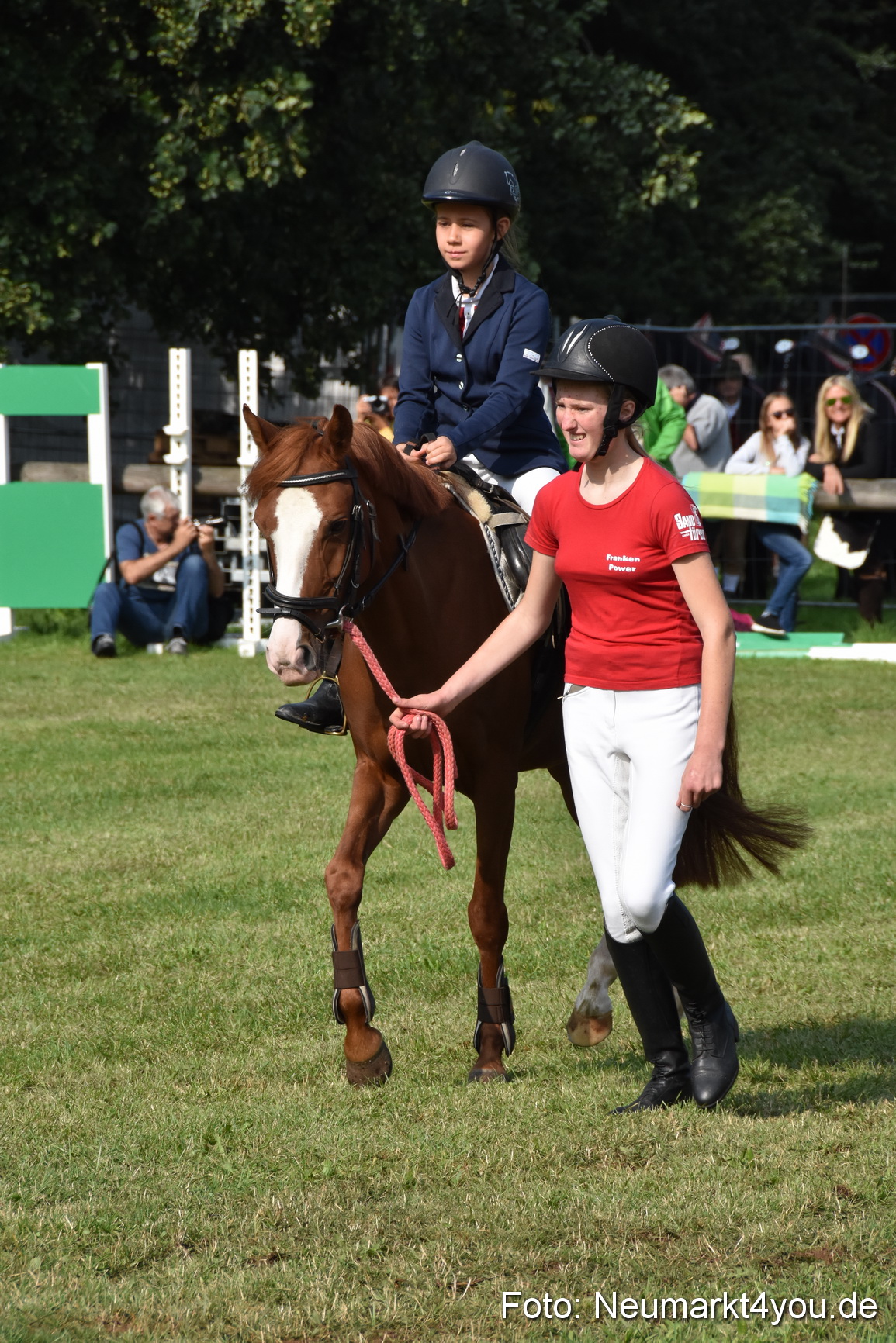 Pferde und Fohlenschau 2017 0081