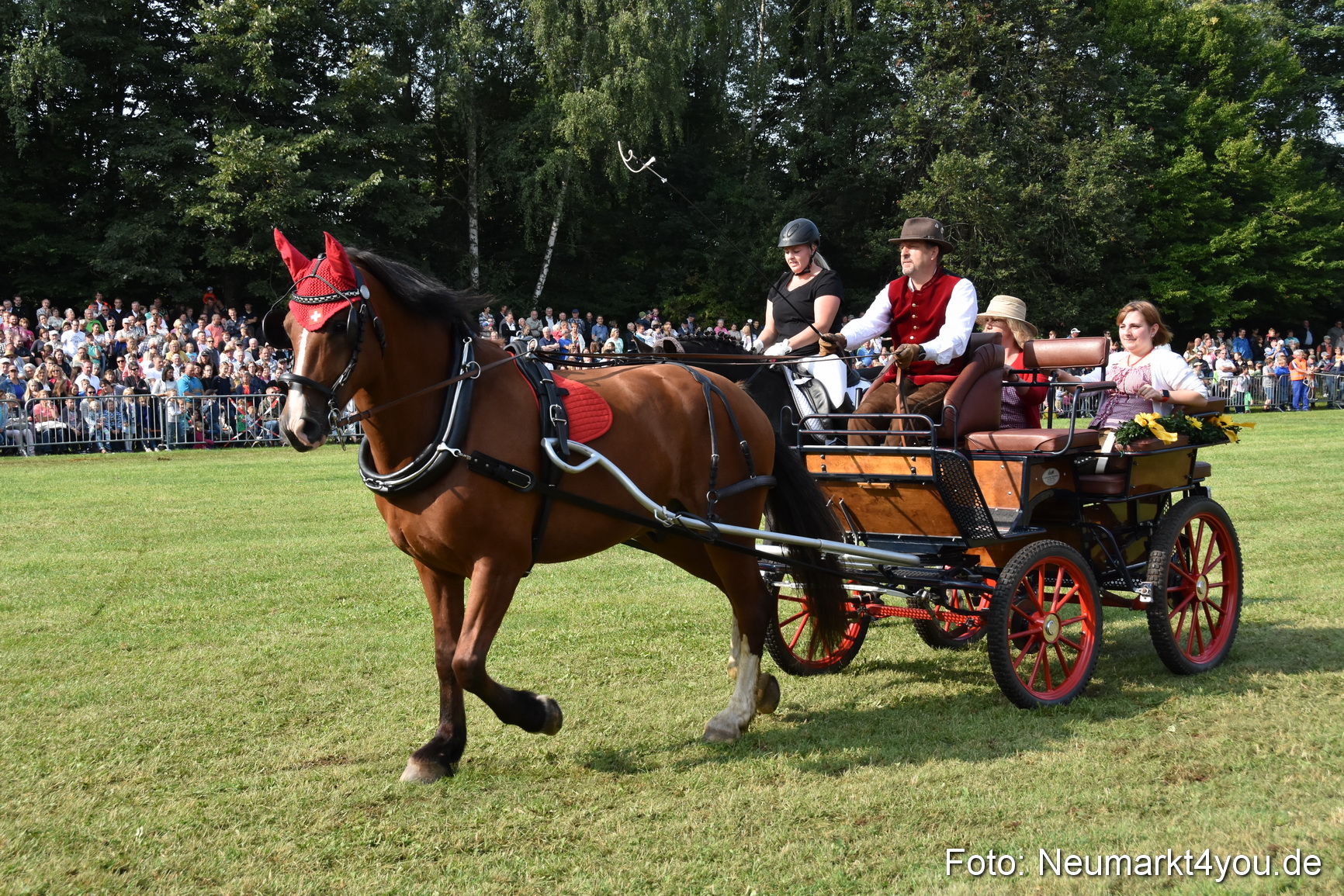 Pferde und Fohlenschau 2017 0082