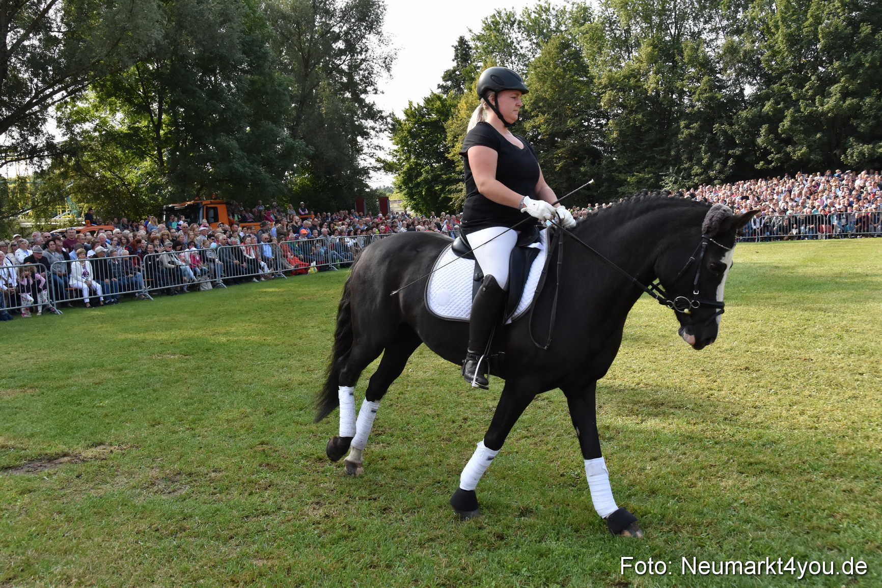 Pferde und Fohlenschau 2017 0084