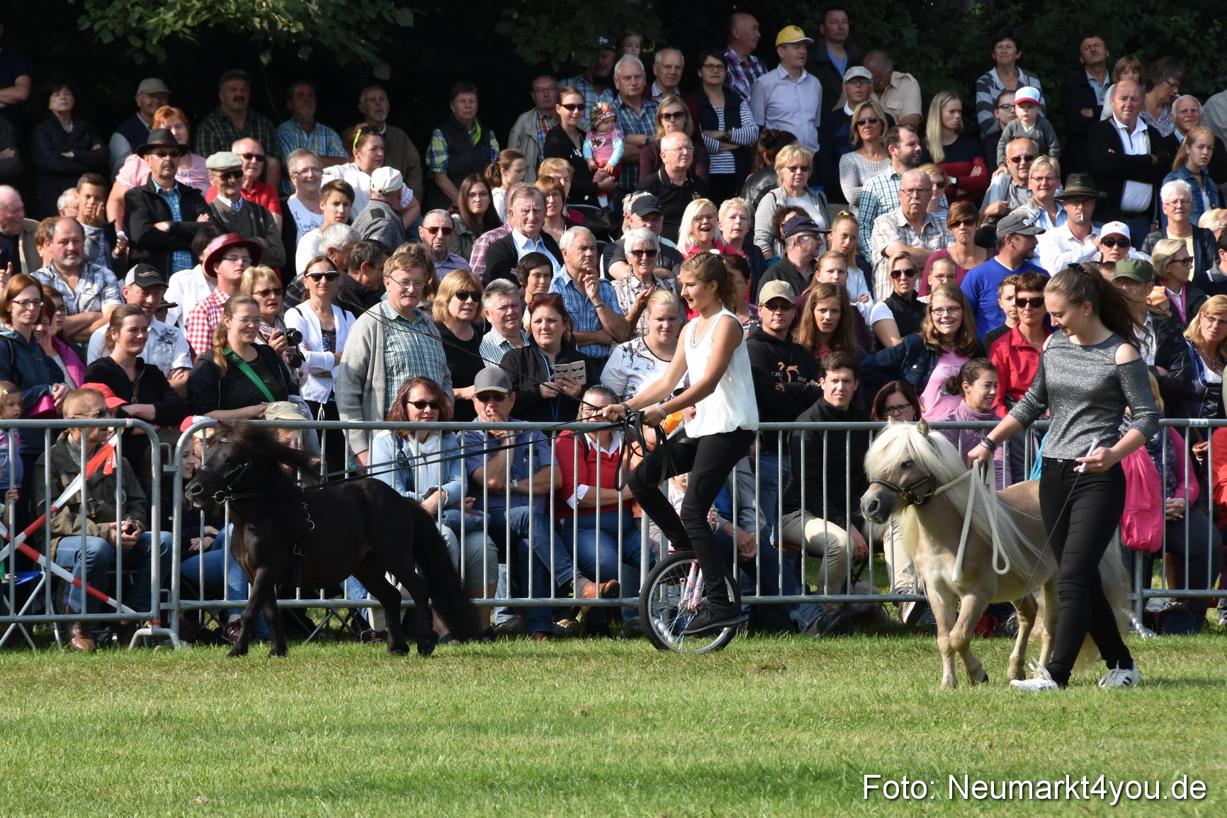 Pferde und Fohlenschau 2017 0085