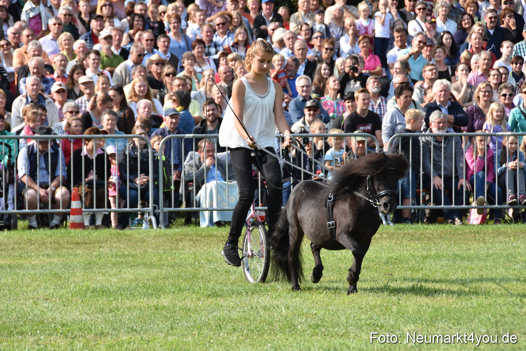 Pferde und Fohlenschau 2017 0086