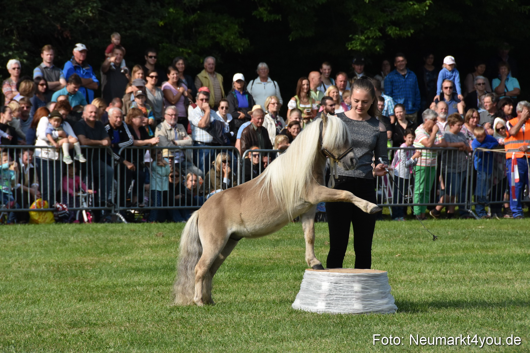 Pferde und Fohlenschau 2017 0087