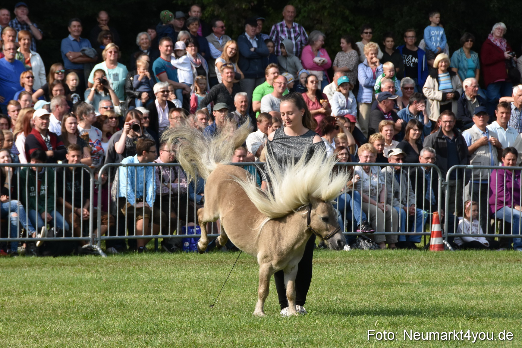 Pferde und Fohlenschau 2017 0088