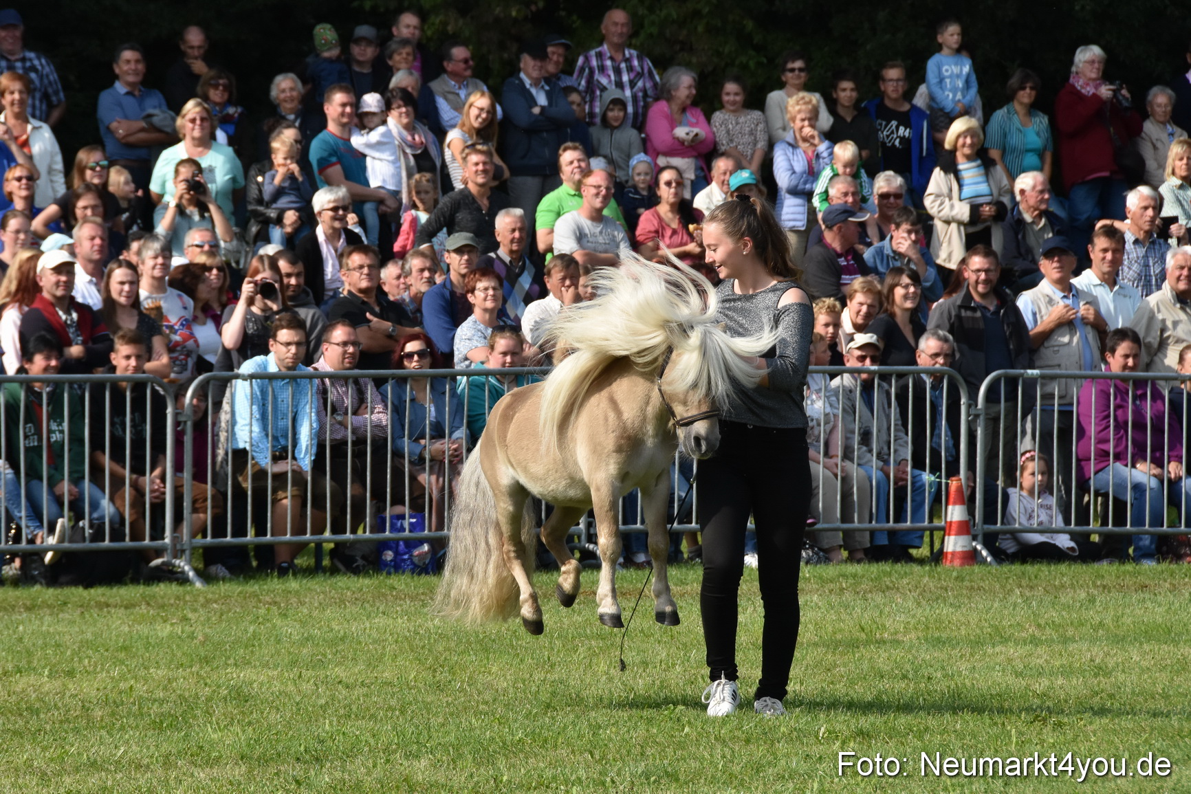 Pferde und Fohlenschau 2017 0089