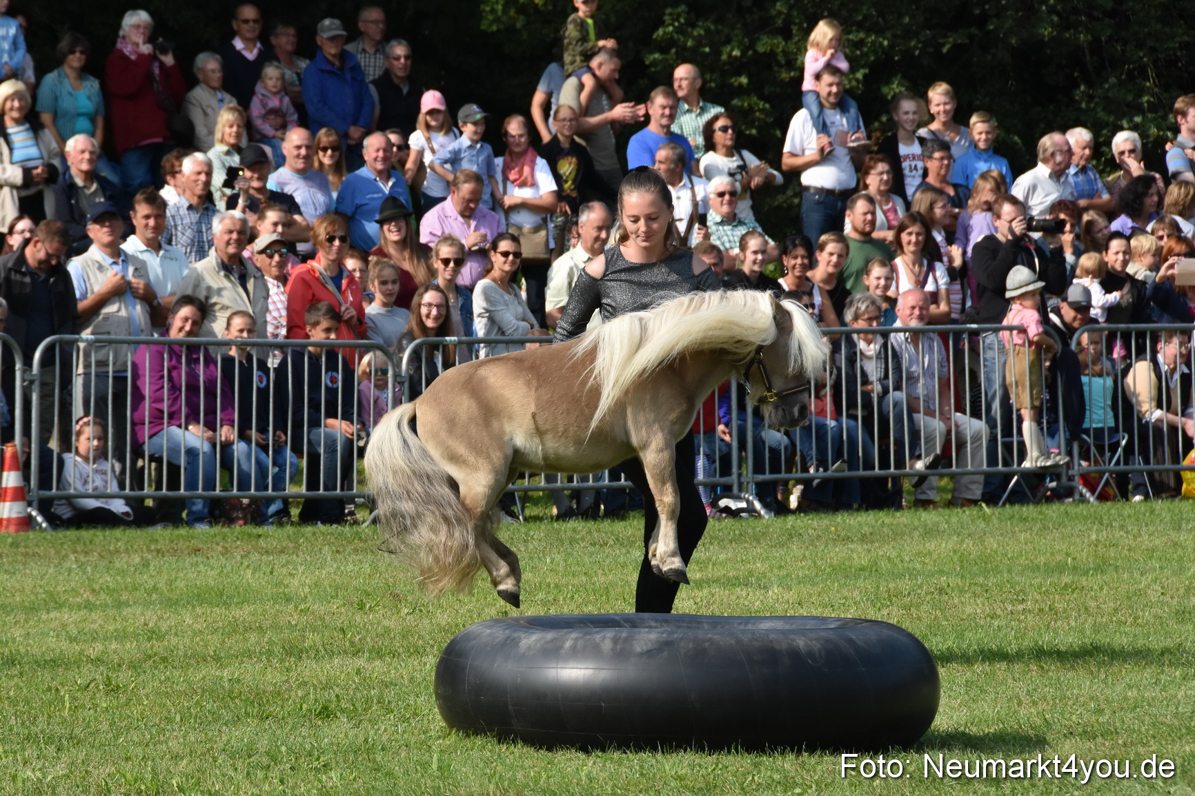 Pferde und Fohlenschau 2017 0090
