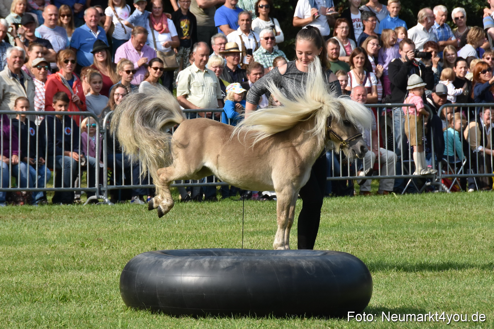 Pferde und Fohlenschau 2017 0091