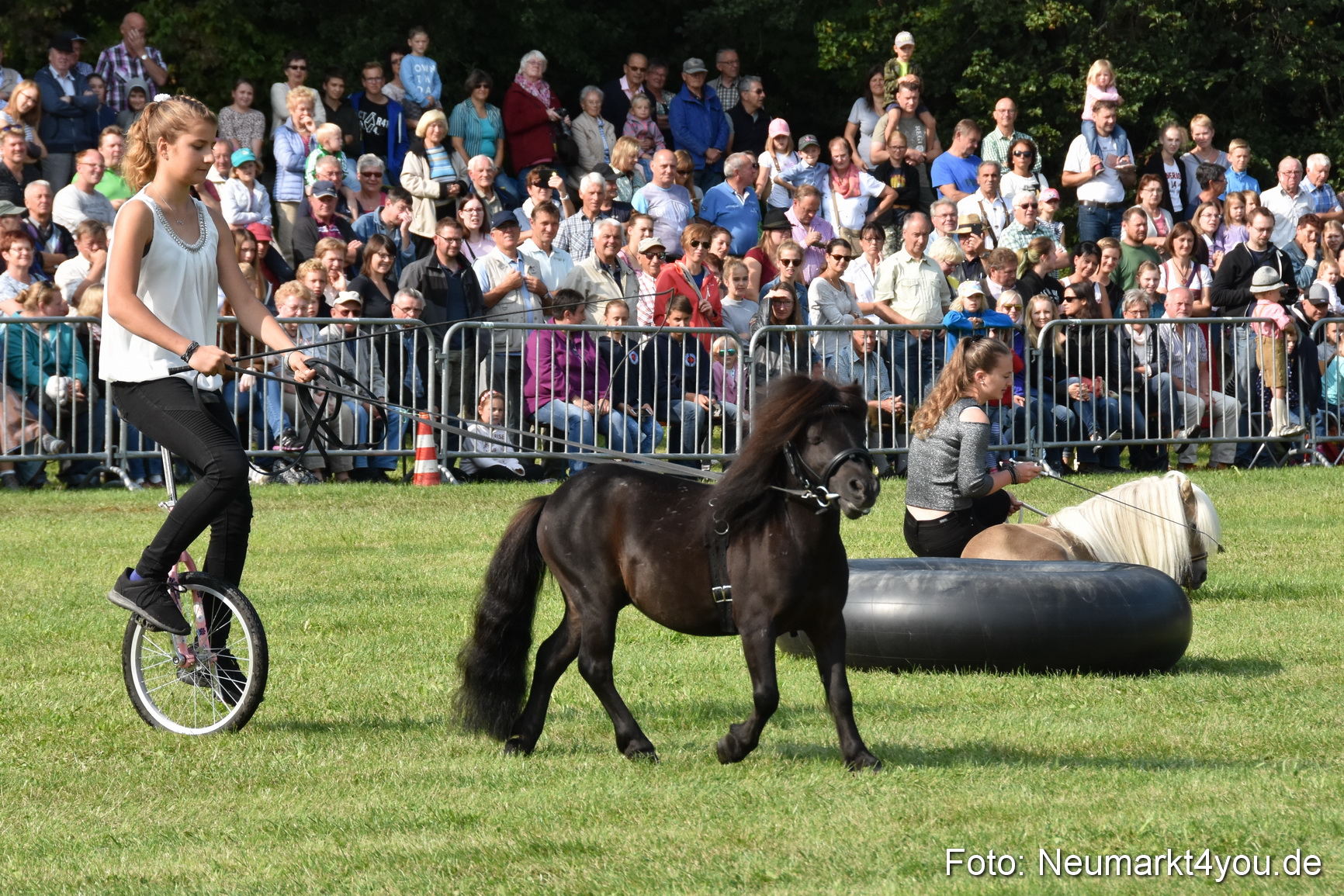 Pferde und Fohlenschau 2017 0092