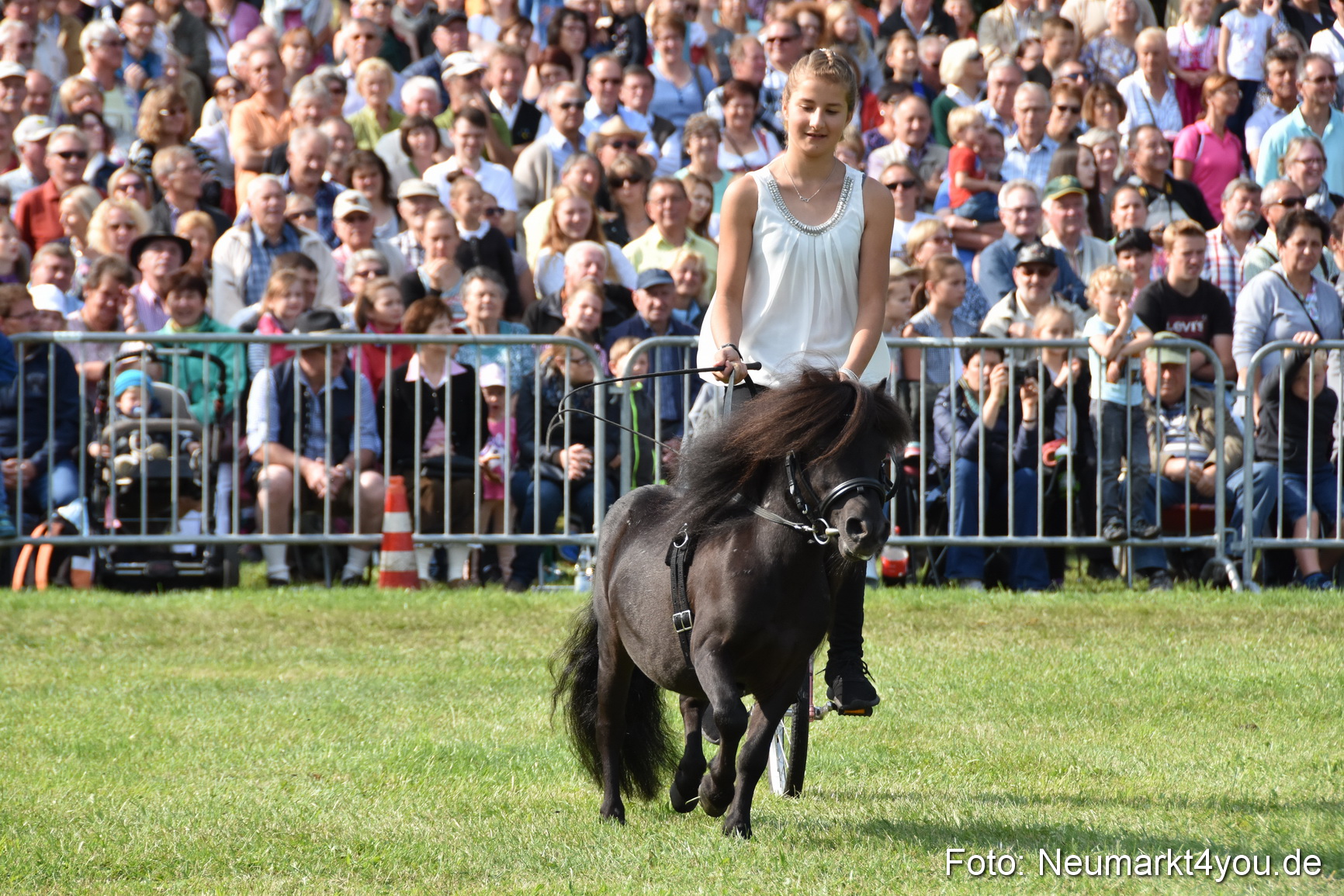 Pferde und Fohlenschau 2017 0093
