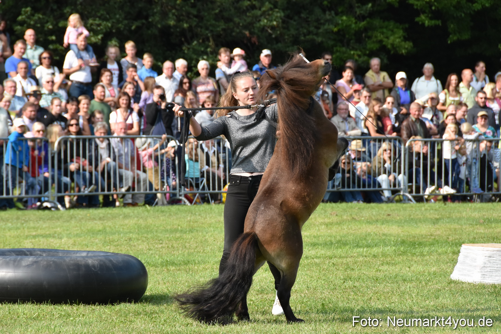 Pferde und Fohlenschau 2017 0095