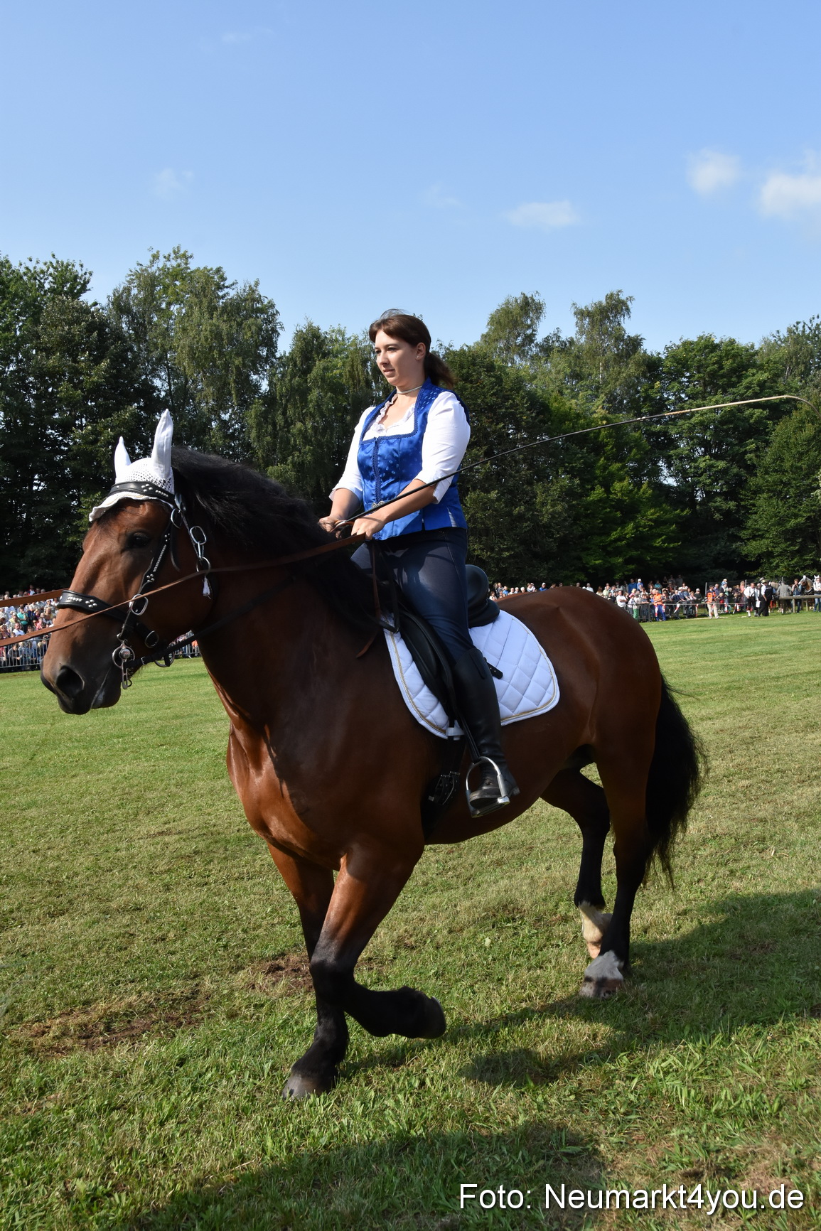 Pferde und Fohlenschau 2017 0096