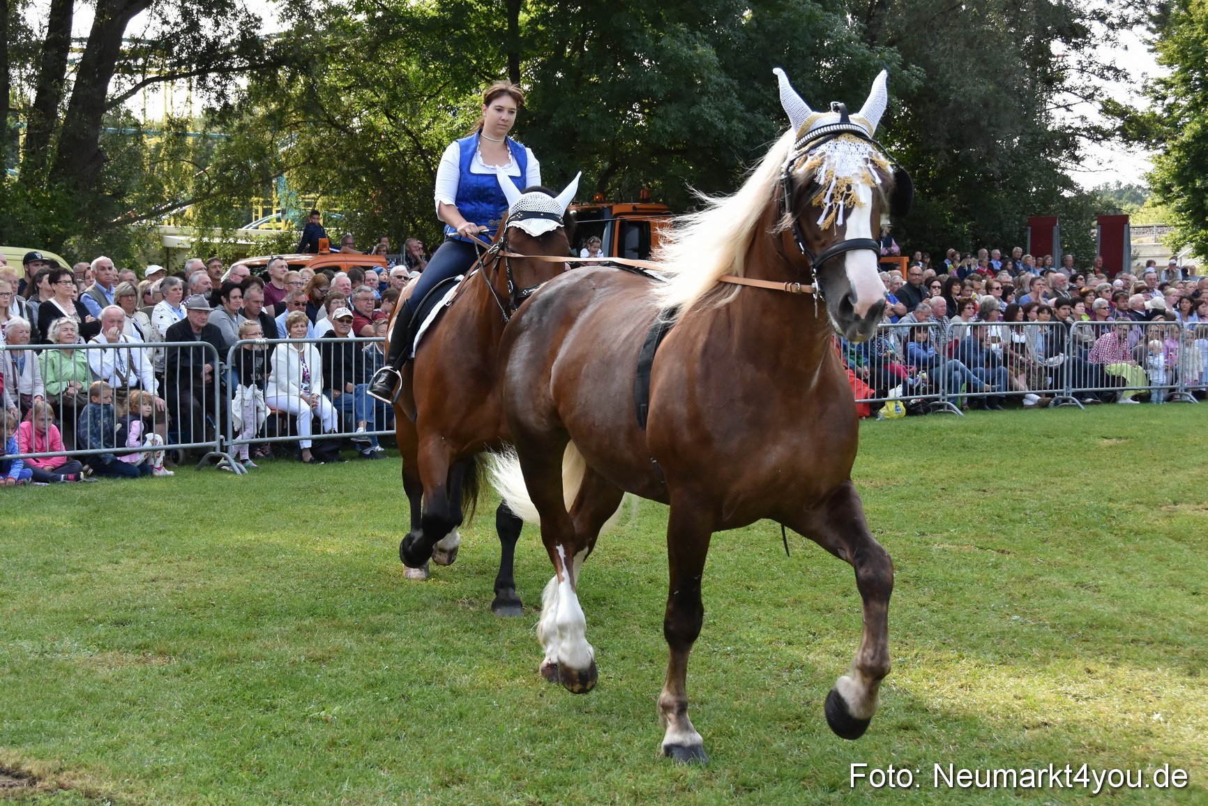 Pferde und Fohlenschau 2017 0100