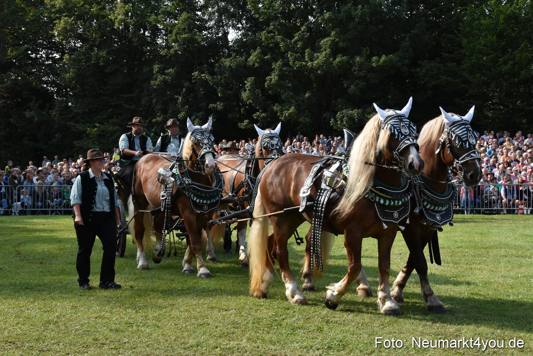 Pferde und Fohlenschau 2017 0104