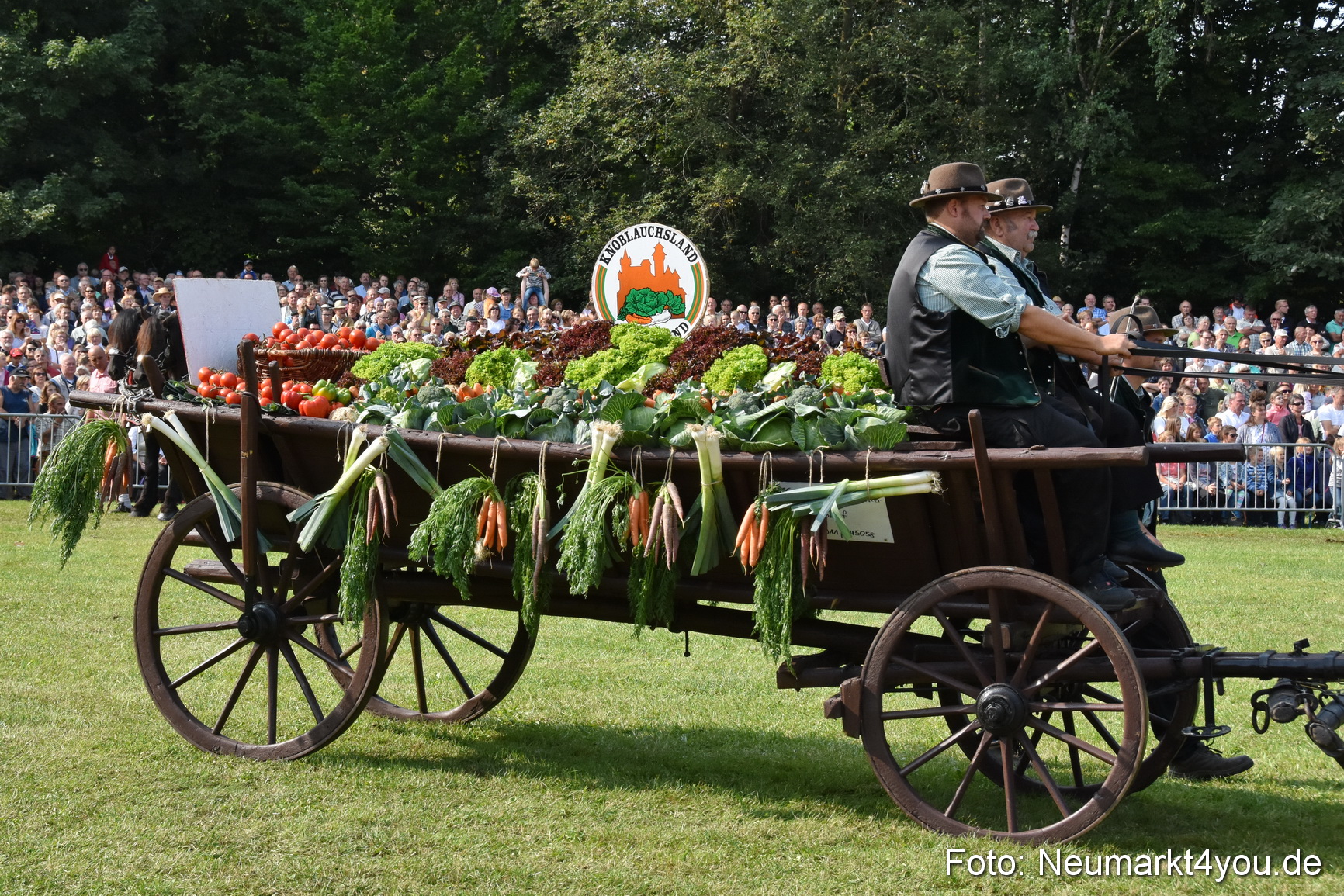Pferde und Fohlenschau 2017 0106