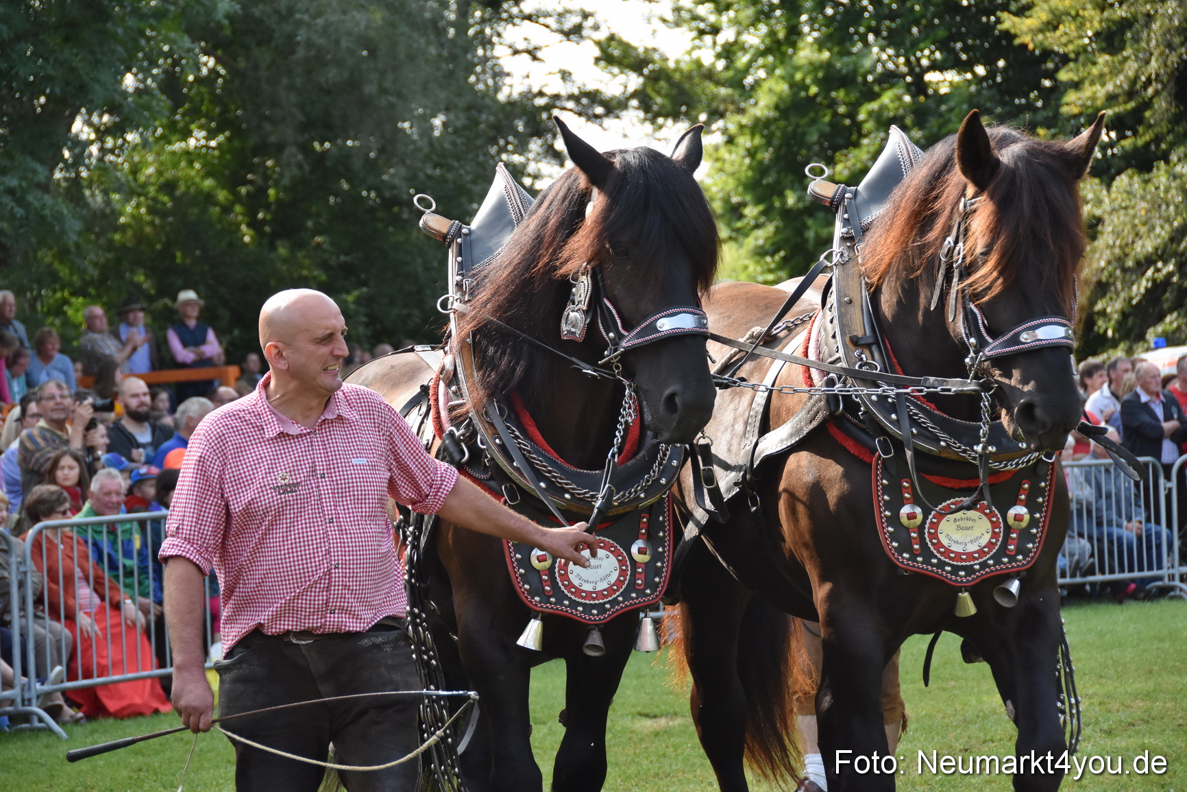 Pferde und Fohlenschau 2017 0109