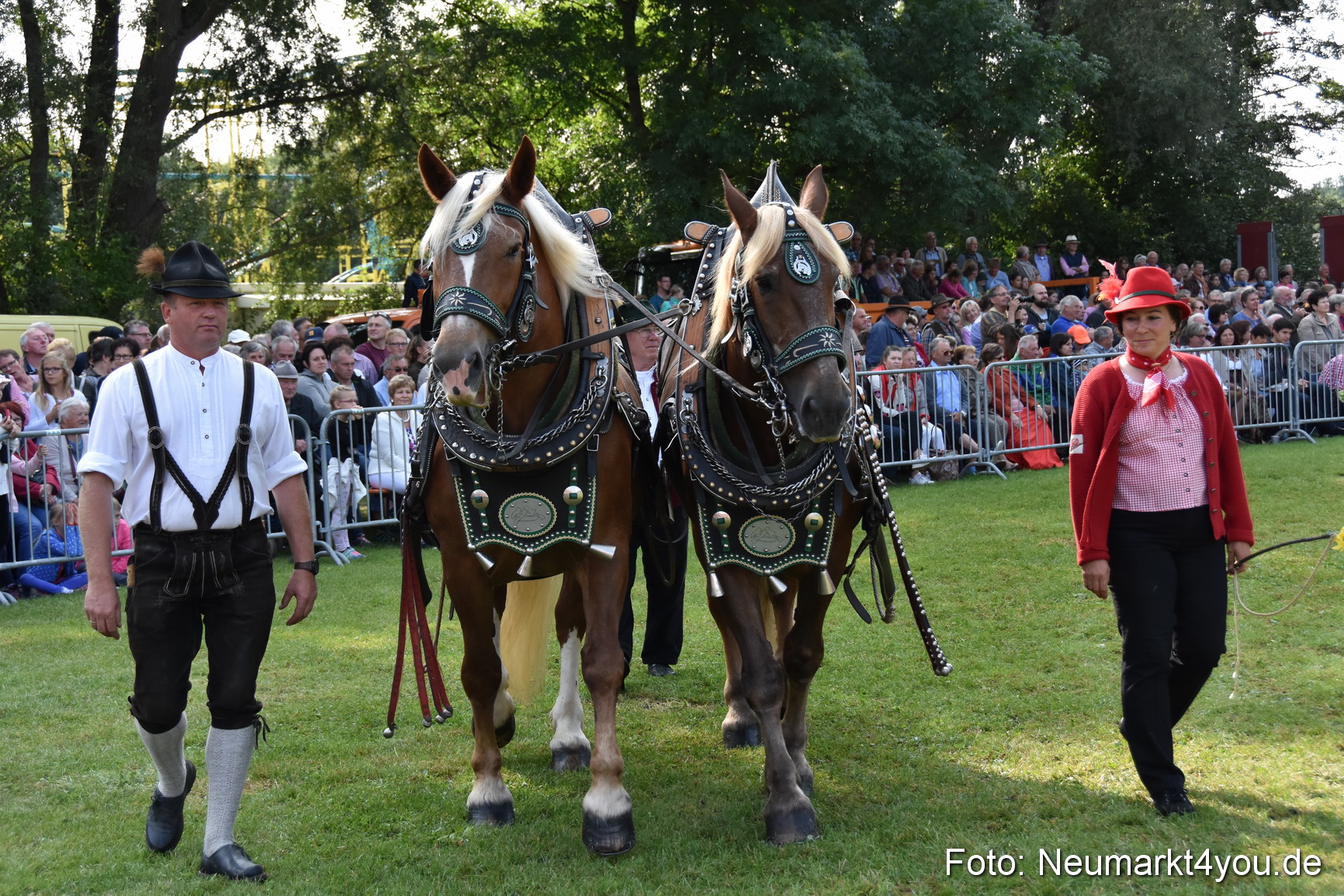 Pferde und Fohlenschau 2017 0111