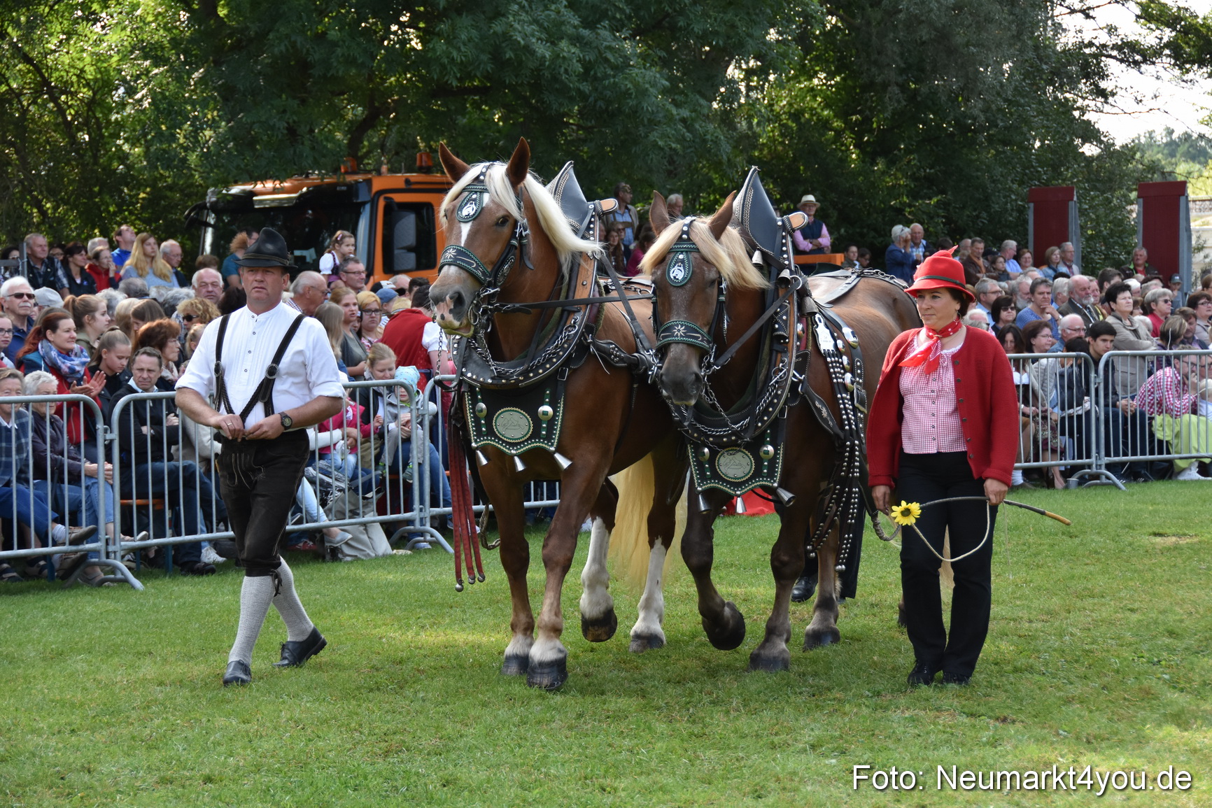 Pferde und Fohlenschau 2017 0113