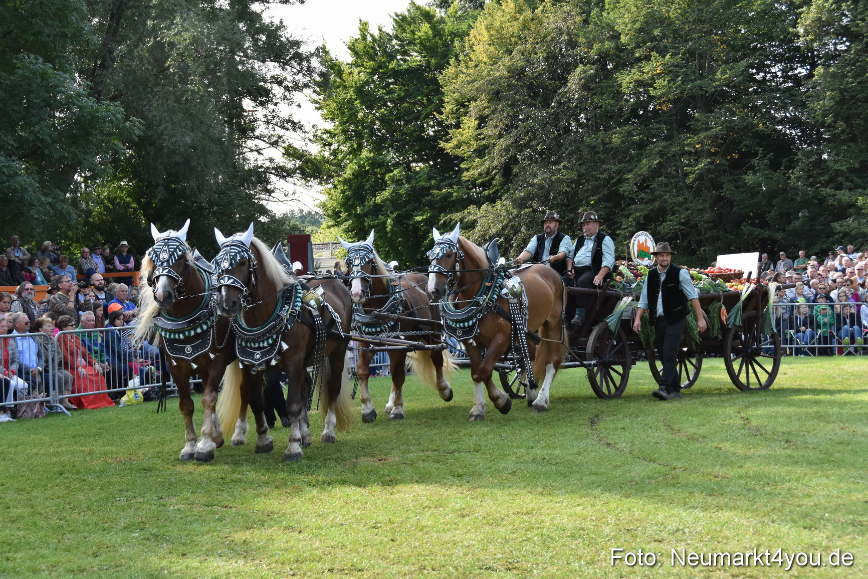 Pferde und Fohlenschau 2017 0115