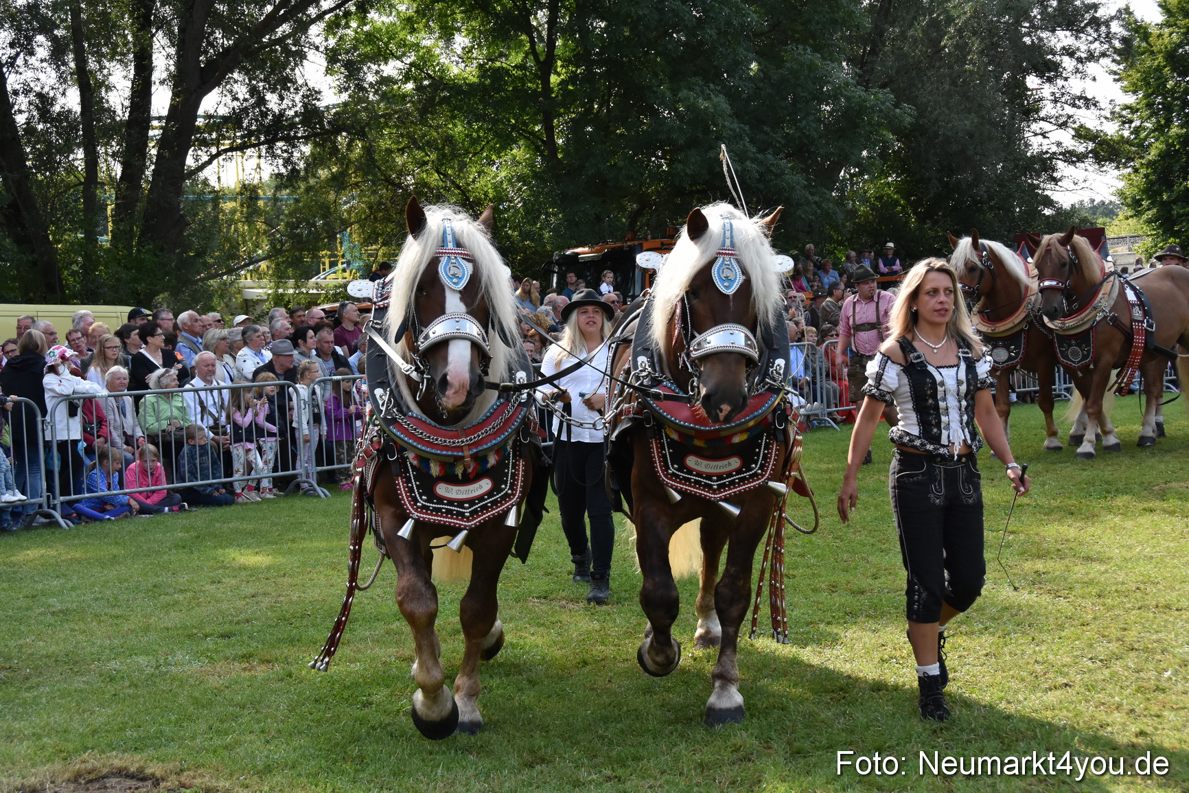 Pferde und Fohlenschau 2017 0122