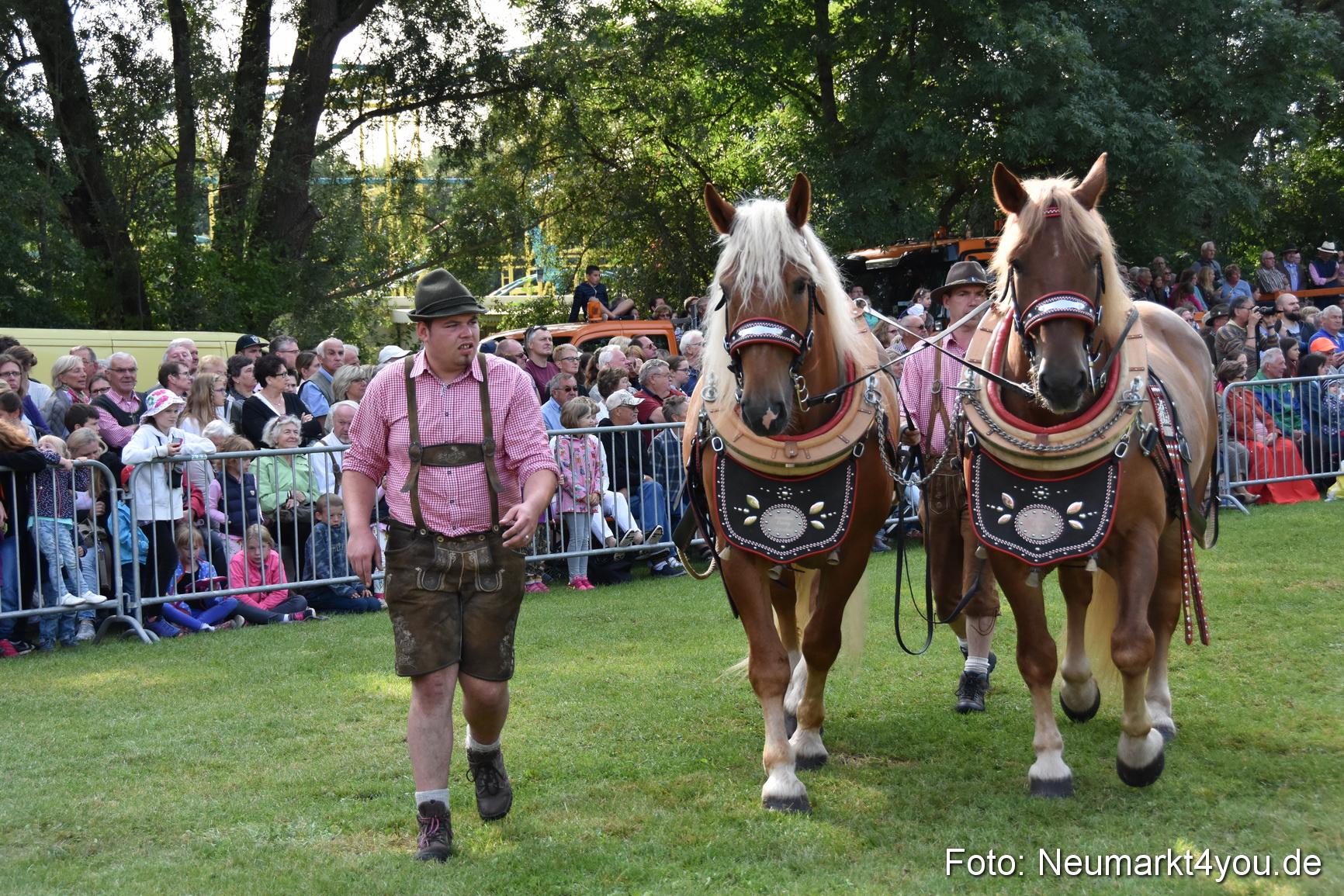 Pferde und Fohlenschau 2017 0123